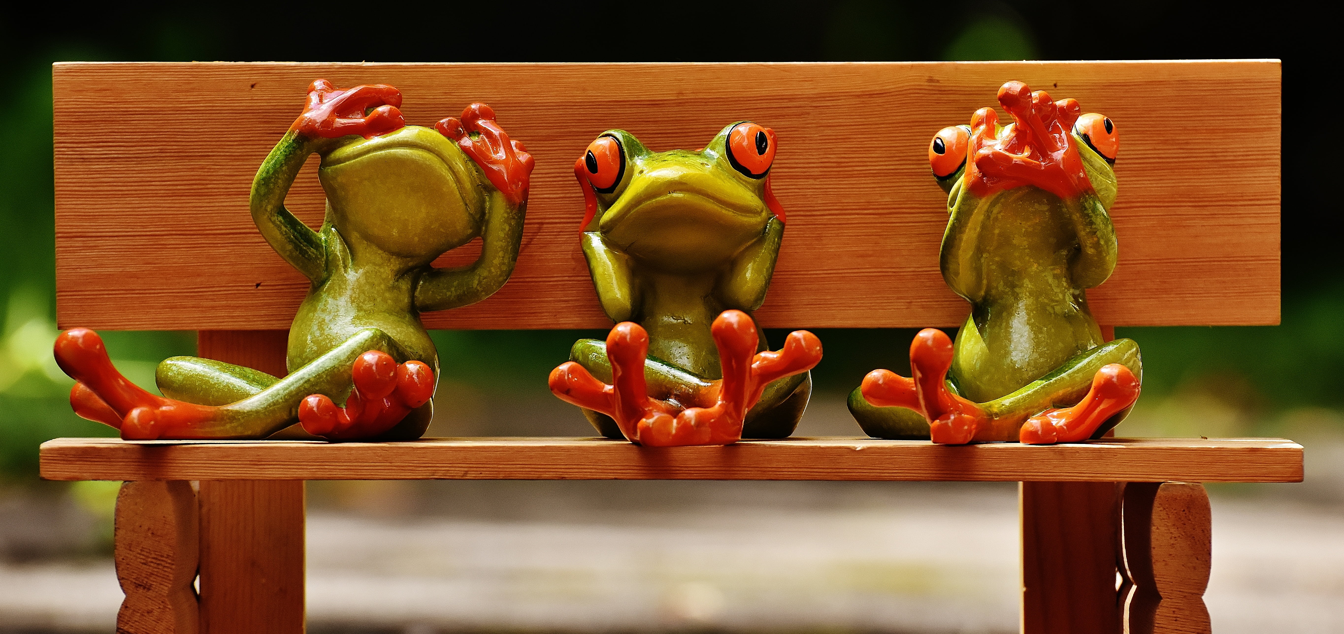 5K, healthy eating, group of objects, no people, fun, choice, cute, pepper - vegetable, frogs, wood, wood - material, wellbeing, frog, close-up, food and drink, HD Wallpaper