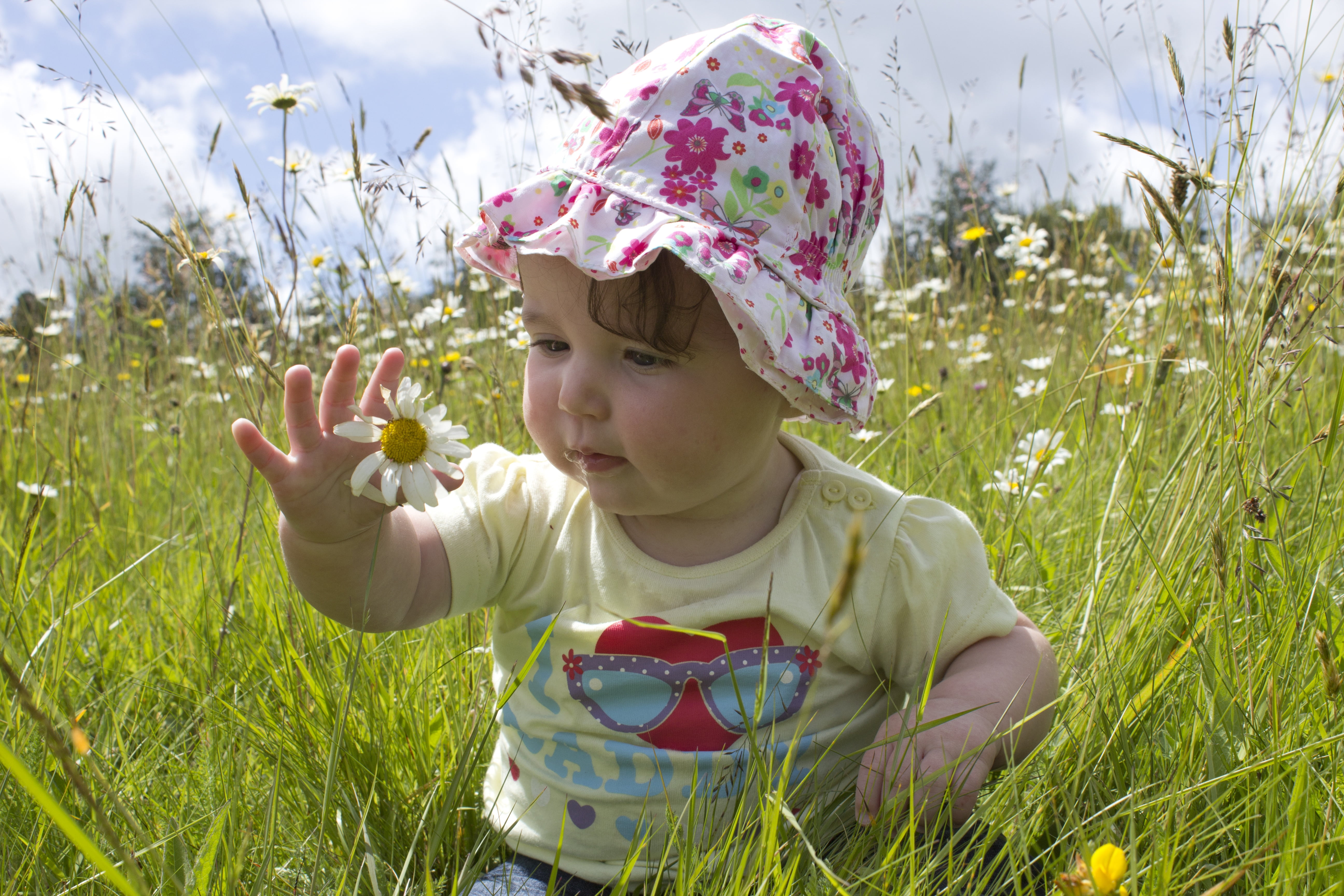 daytime, looking, pretty, outdoors, cheerful, adorable, plant, flower, leisure activity, flowers, happiness, baby, day, day dream, smiling, girls, girl, HD Wallpaper
