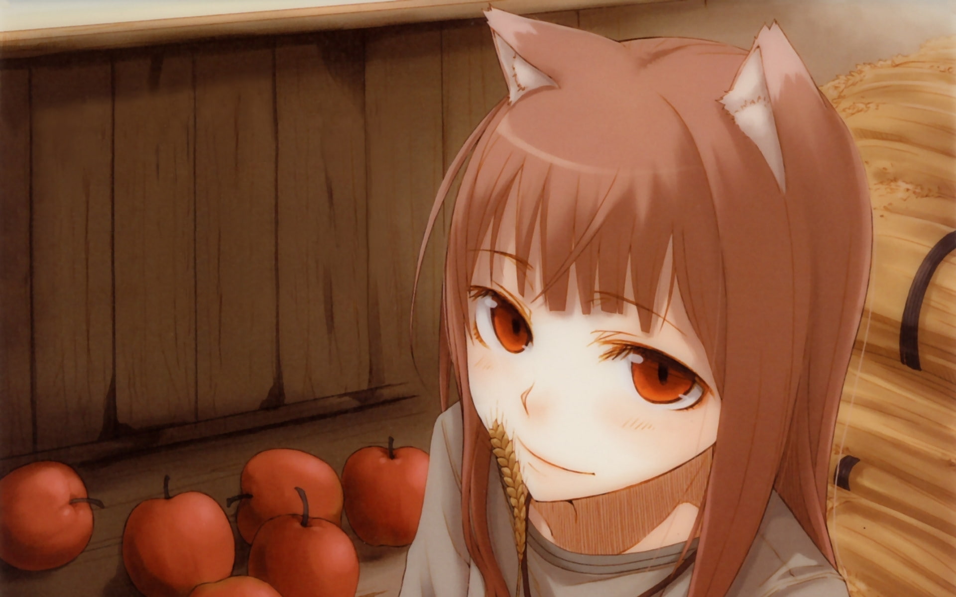 holo, 1080P, spice, wise, wolf, HD Wallpaper