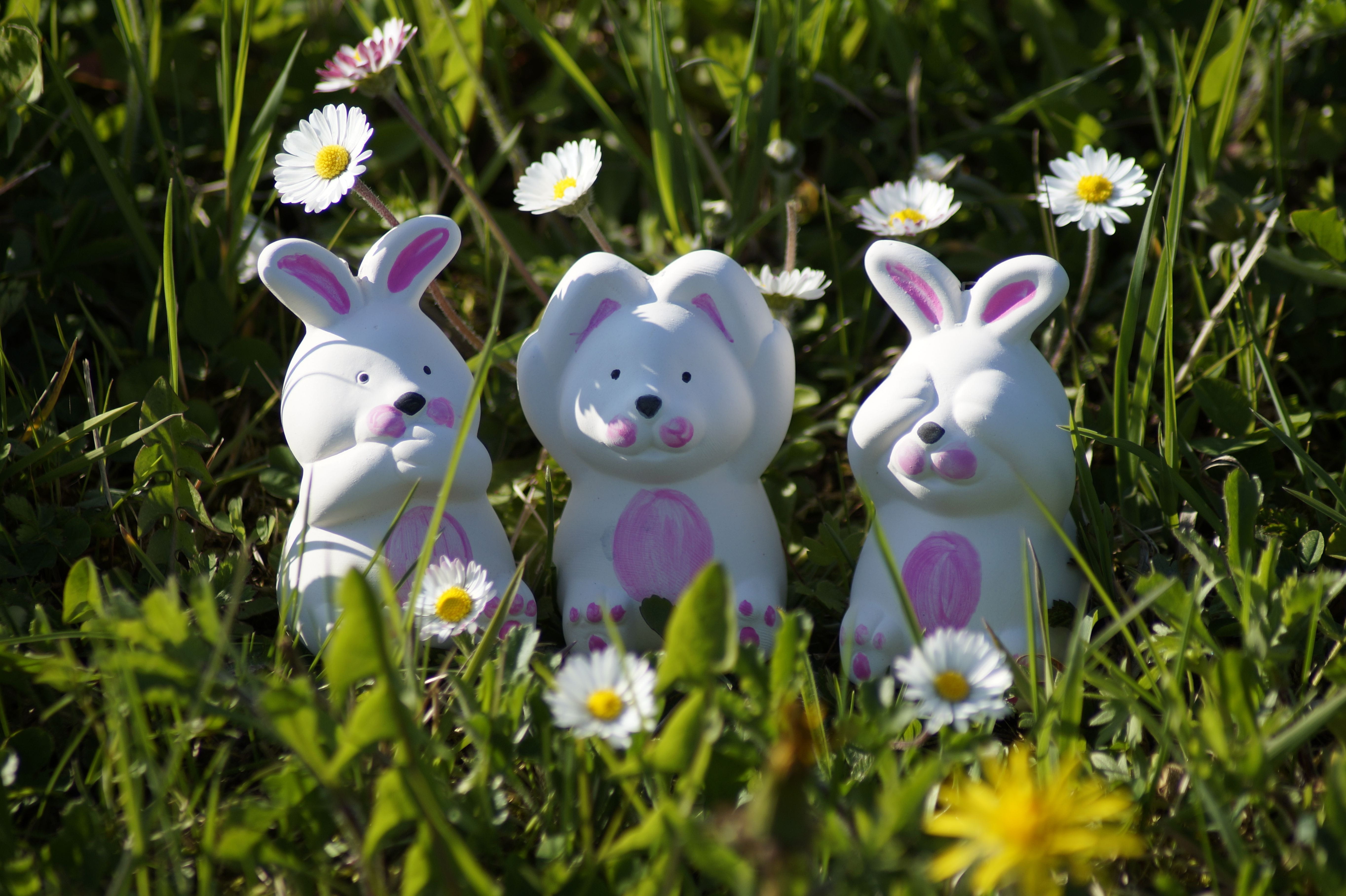 see, listen, grass, purple, flower, easter theme, easter decor, holiday, cute, nature, decorative, freshness, fragility, day, rabbit, flowers, figure, no people, HD Wallpaper