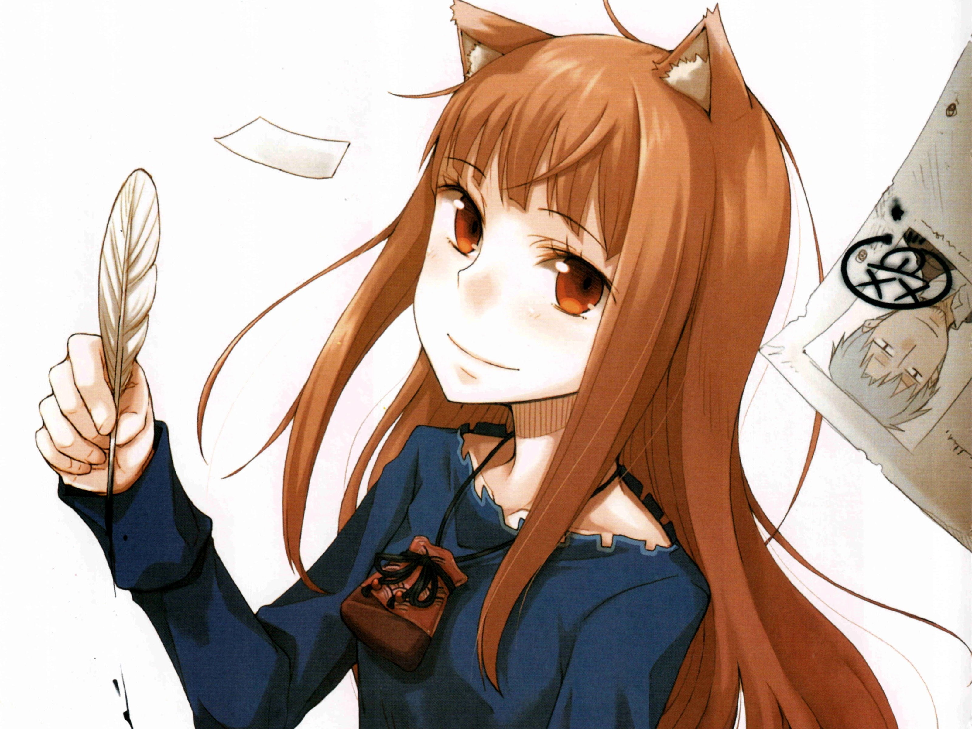 spice, wise, holo, 2K, wolf, HD Wallpaper
