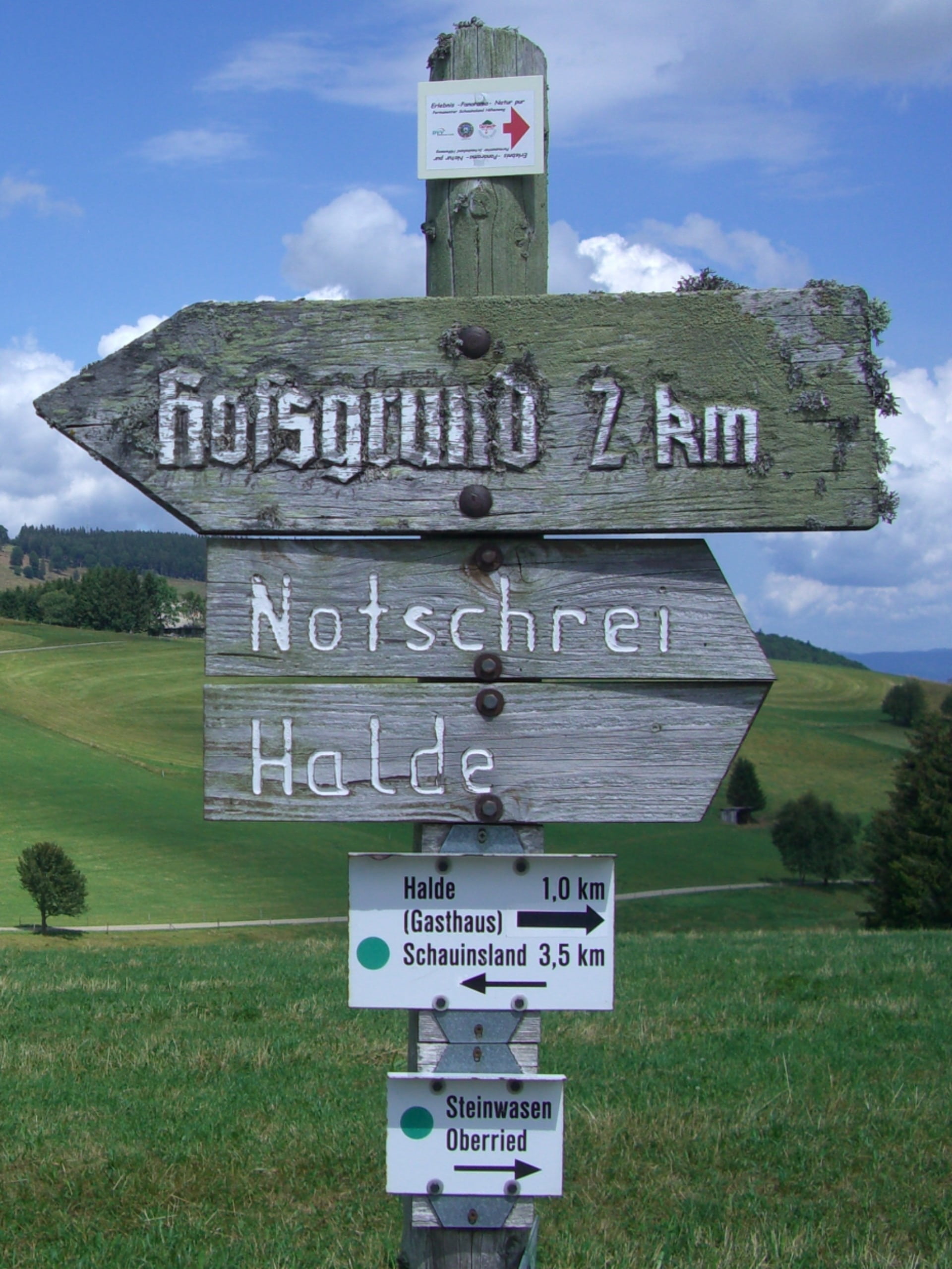 migratory character, board, nature, grain, black forest, shield, wood, cloud - sky, information sign, green color, sky, grass, information, clouds, sign, Phone HD Wallpaper