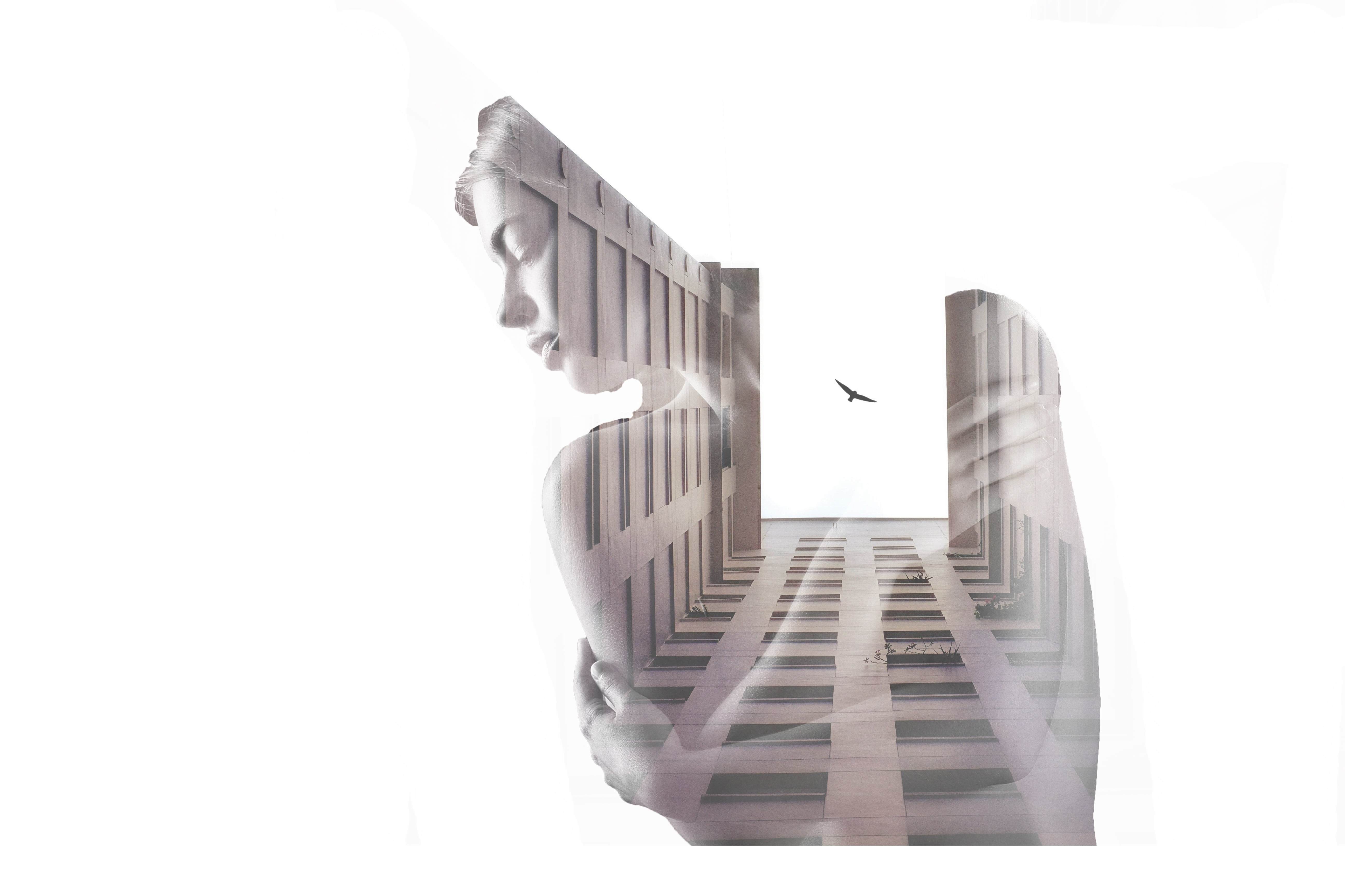 white background, bird, human, steps, moving Up, outdoors, business, design, nature, built structure, 5K, tower, low angle view, architecture, flying, HD Wallpaper