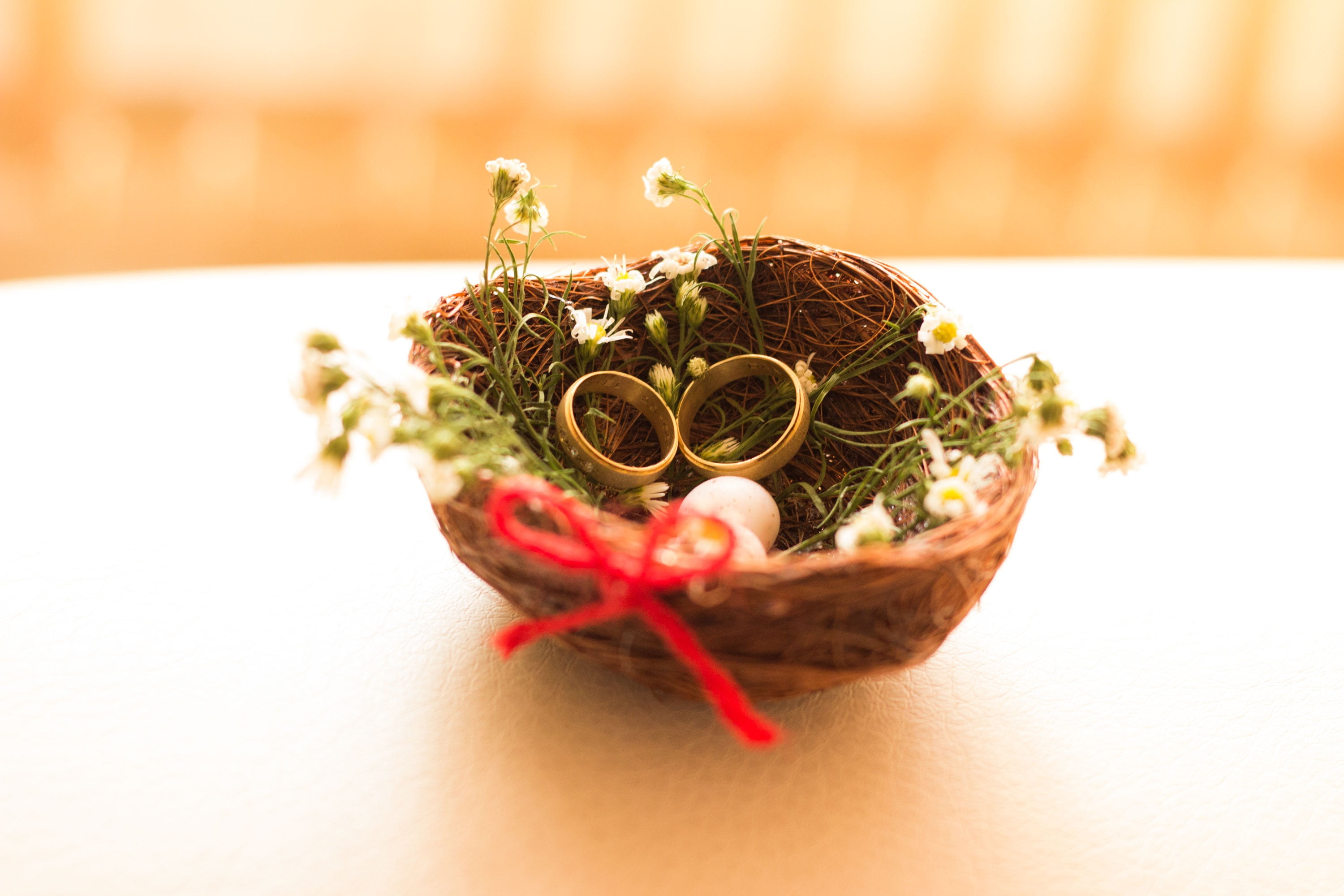 studio shot, herb, jeweler, ring, nest, leaf, 2K, small, plant, marriage, romantica, ceremony, jewelry, rings, close-up, flowering plant, freshness, indoors, HD Wallpaper