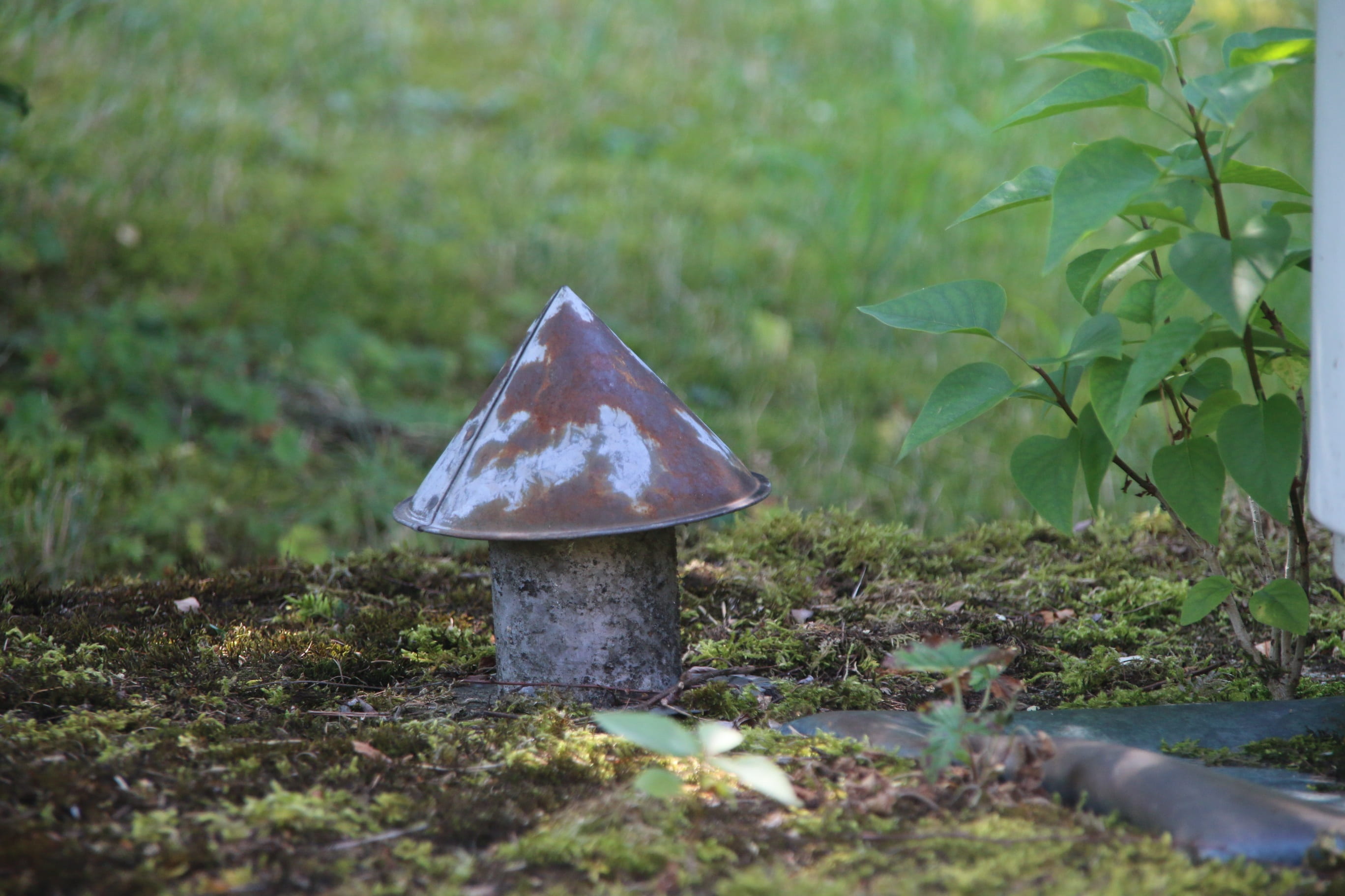 no people, close-up, 2K, old, close, plant, field, stainless, solid, outdoors, nature, stone, selective focus, day, vent, leaf, mushroom, growth, ventilation pipe, HD Wallpaper