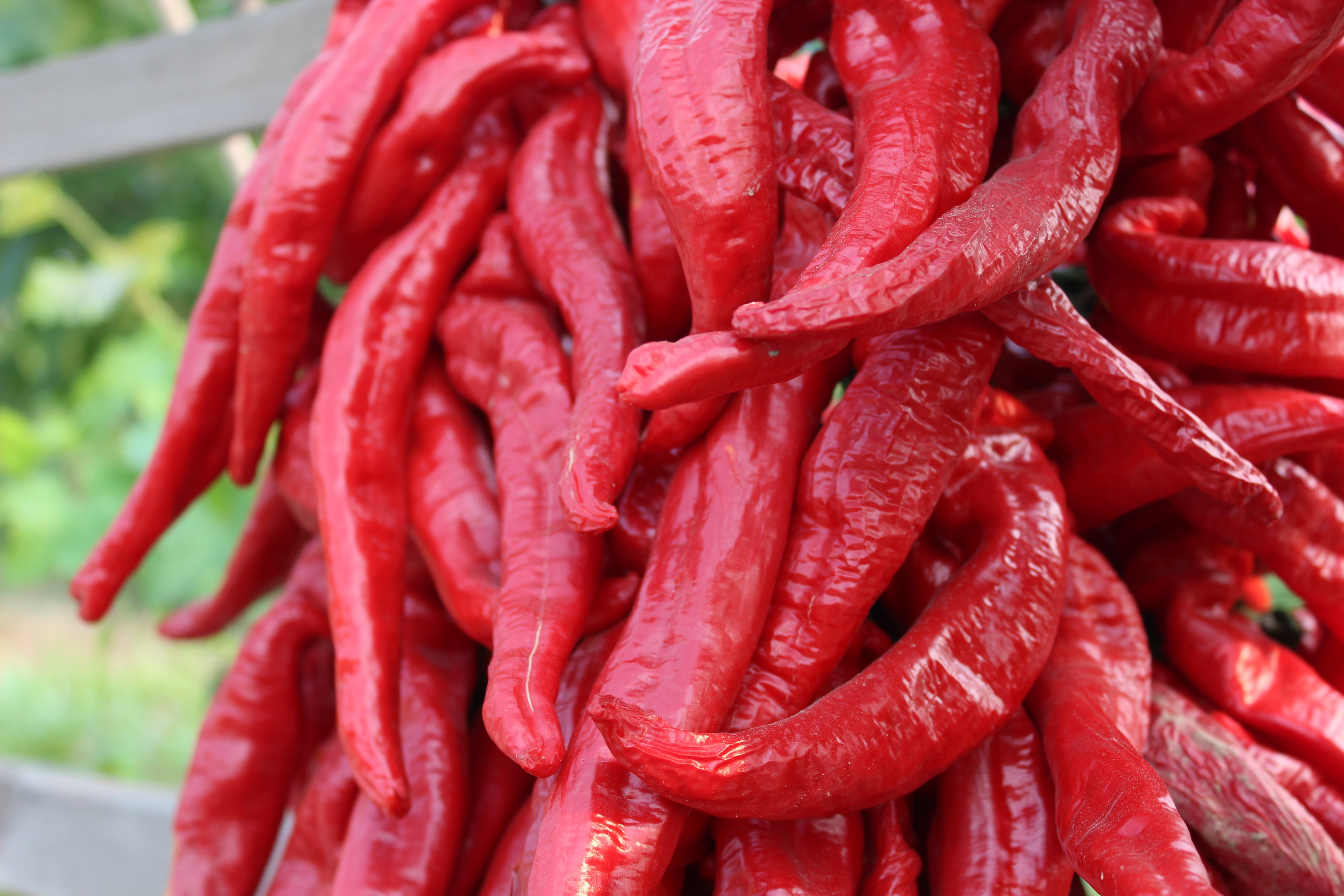 day, freshness, market, food, wellbeing, food and drink, red pepper, for sale, red, chili pepper, abundance, large group of objects, 5K, red chili pepper, HD Wallpaper