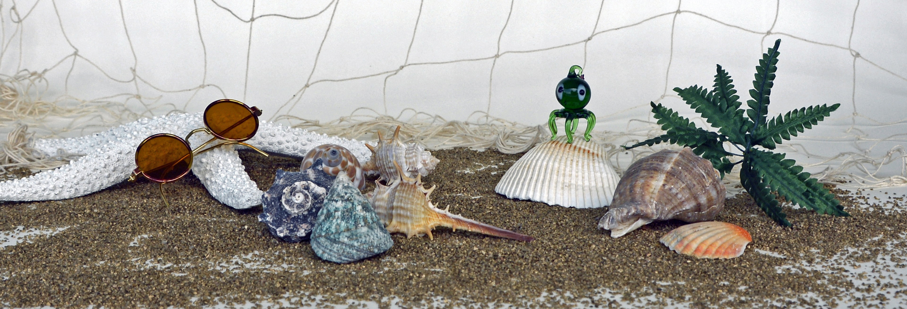 assorted, time out, sunglasses, header, sand, squid, coupon, art and craft, figurine, christmas decoration, banner, recovery, decoration, coins, palm, day, HD Wallpaper