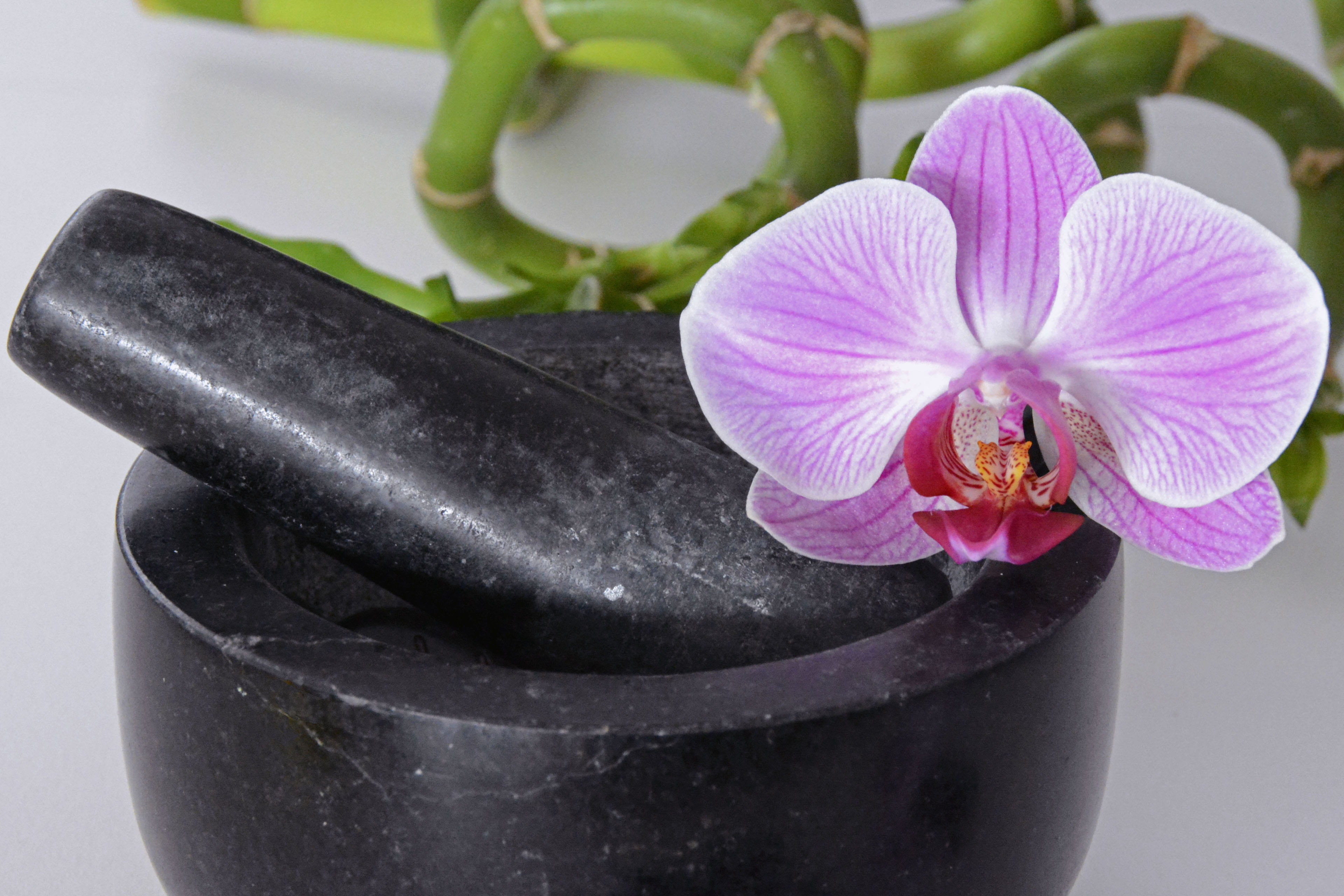 plant, luck, recovery, frisch, pound, herbs, beauty in nature, white, pestle, close-up, tappet, wellness, black color, flowering plant, wood, grind, relax, HD Wallpaper