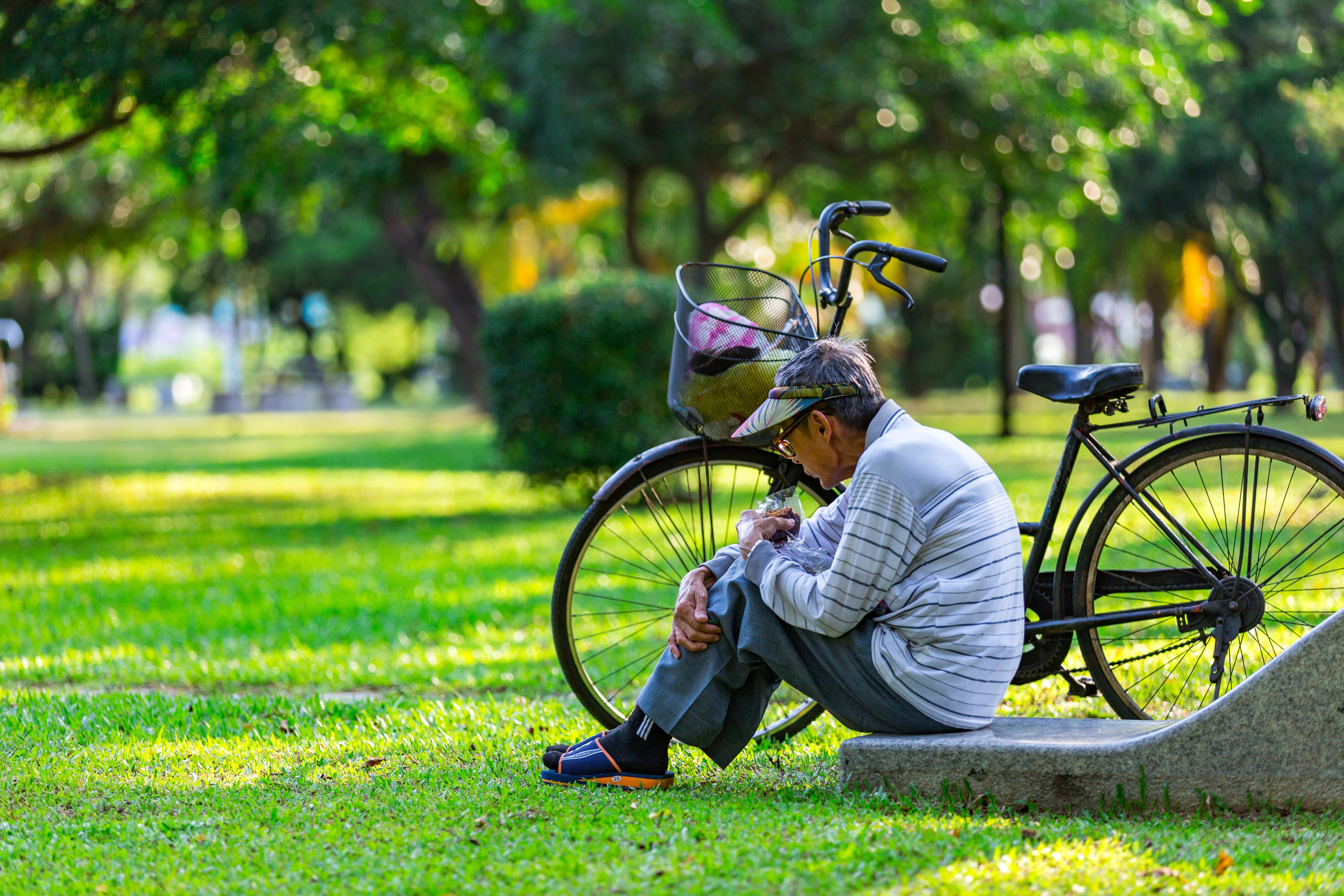 person, tree, men, near, old man, commuter, 5K, summer, focus on foreground, wheel, activity, leisure activity, male, human, sunny, sitting, adult, day, HD Wallpaper