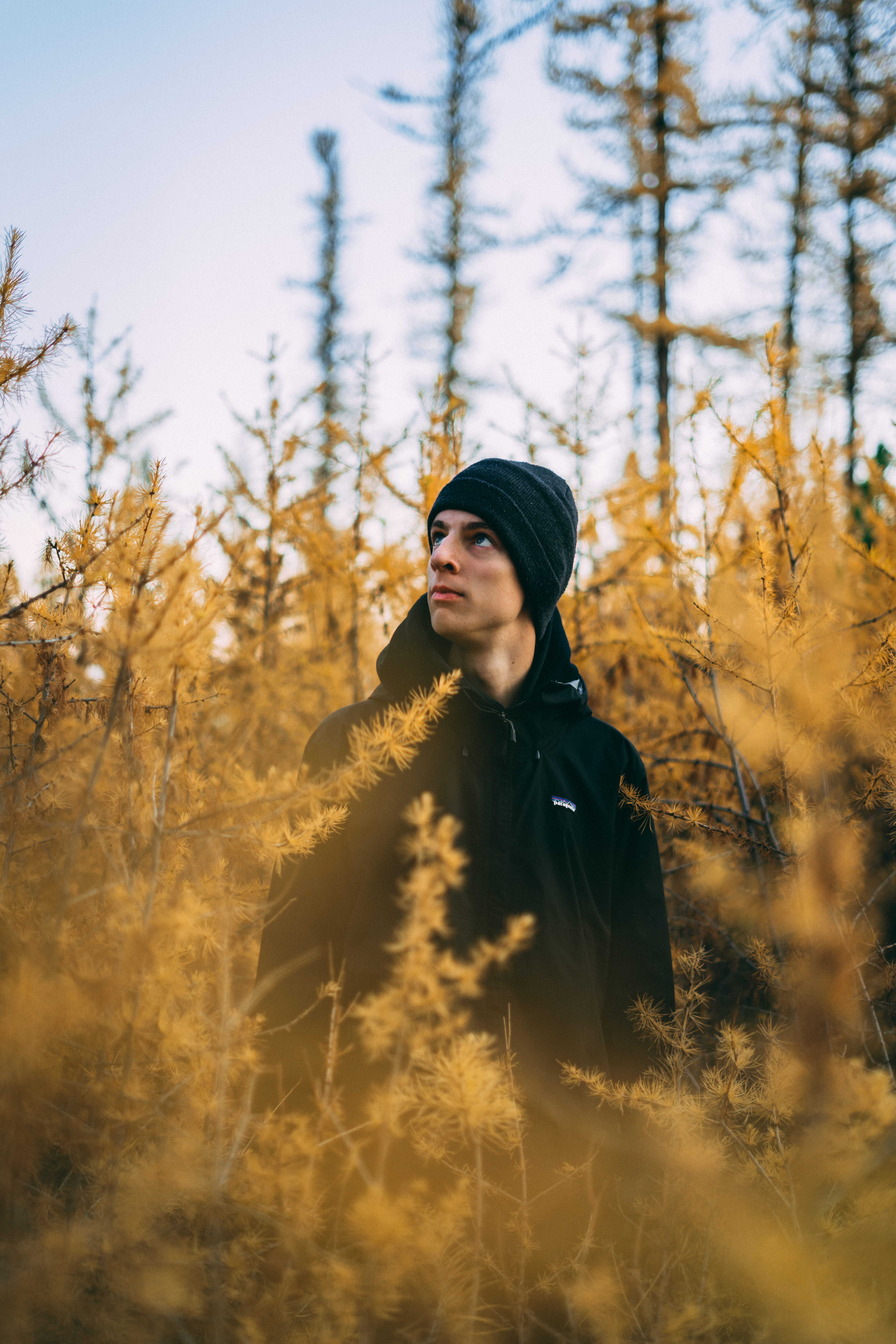 human, coat, clothing, middle, leisure activity, nature, conifer, land, hairstyle, front view, day, lawn, young men, beanie, tree, lifestyles, grass, waist up, Phone HD Wallpaper