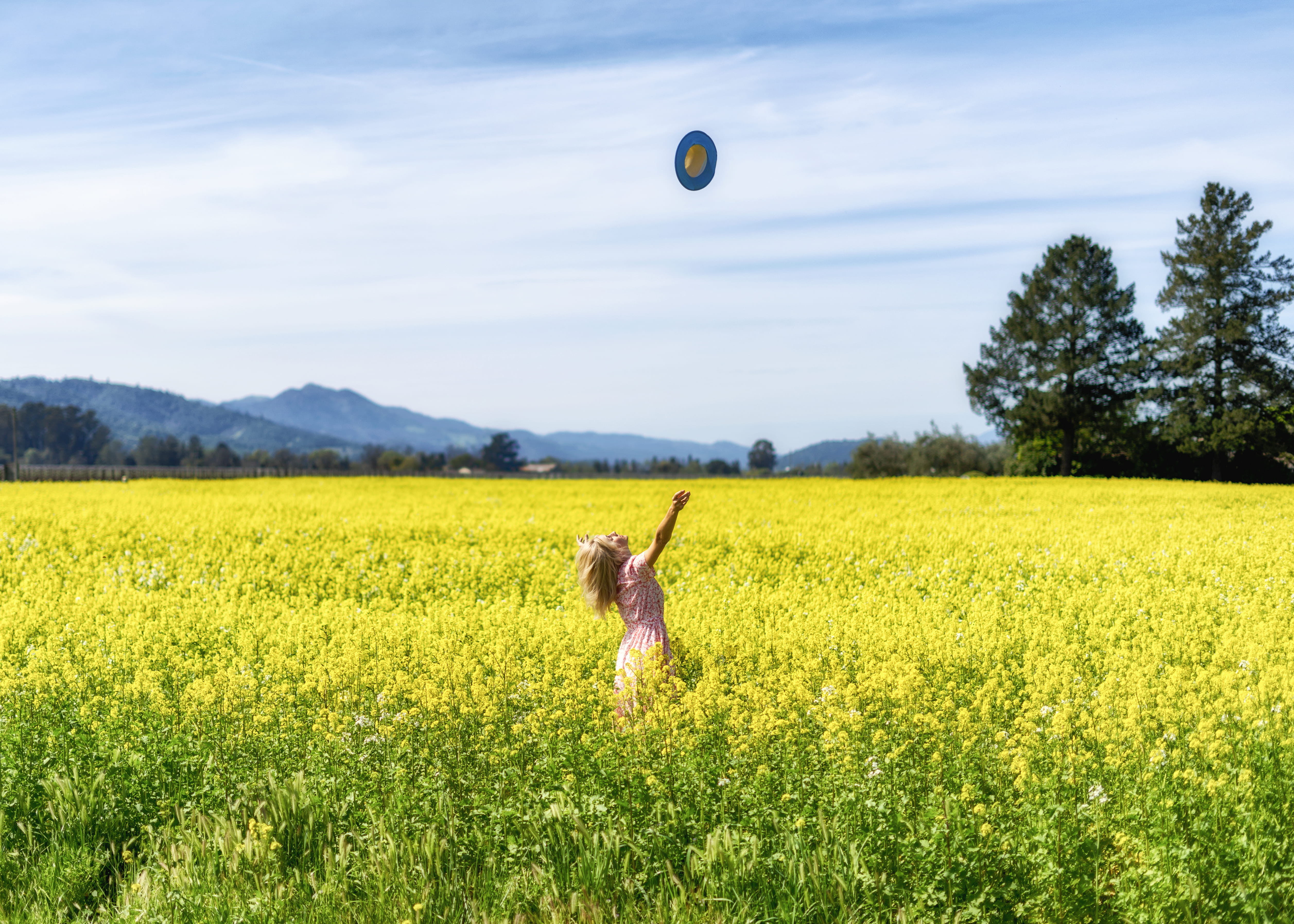 play, person, summer, nature, mustard, sky, throwing, international womens day, field, yellow, surrounded, mountain, one animal, fun, beauty in nature, HD Wallpaper