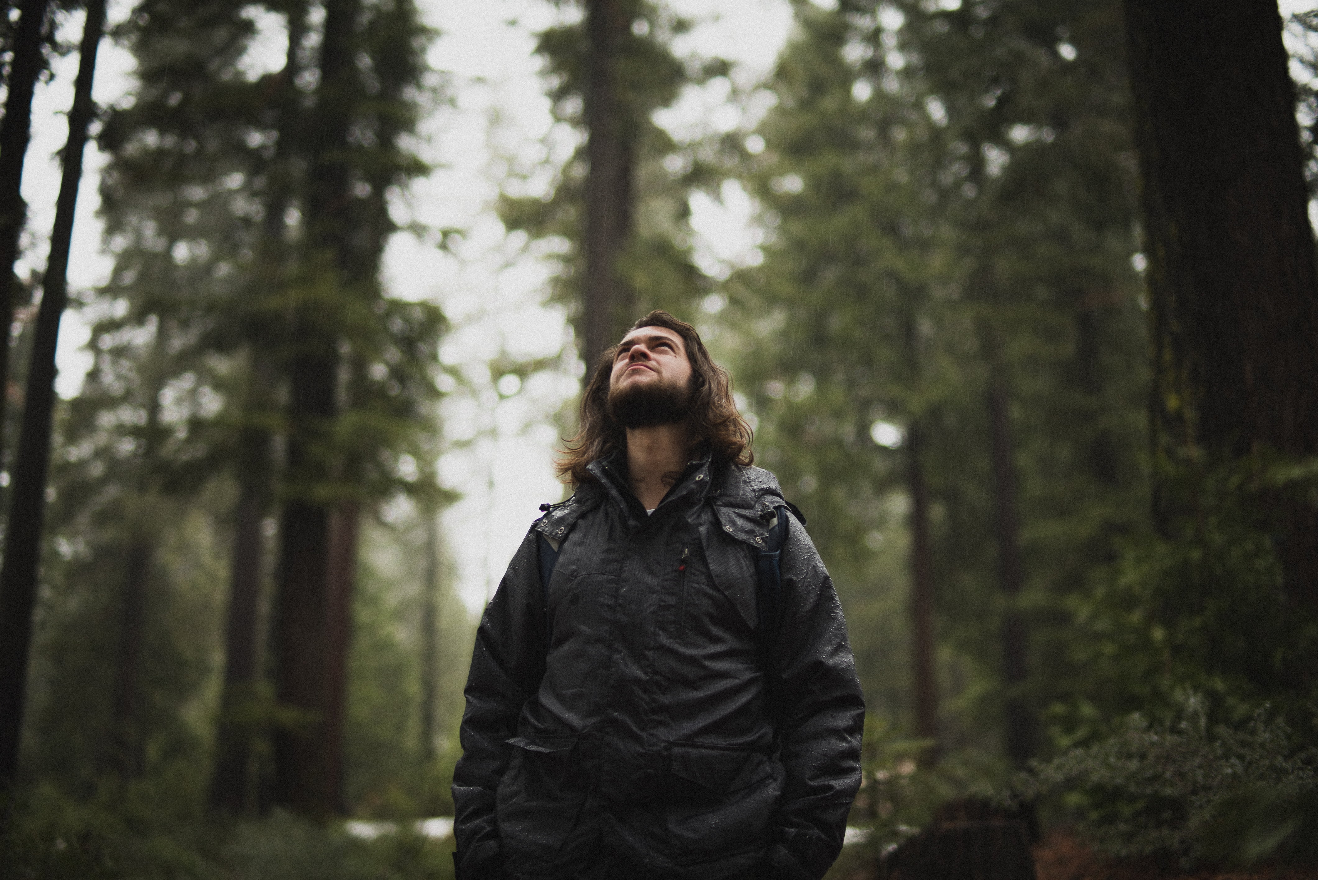 woodland, 4K, clothing, waist up, lifestyles, photography, selective, trees, man, brown hair, people, forest, caucasian Ethnicity, standing, upwards, land, HD Wallpaper