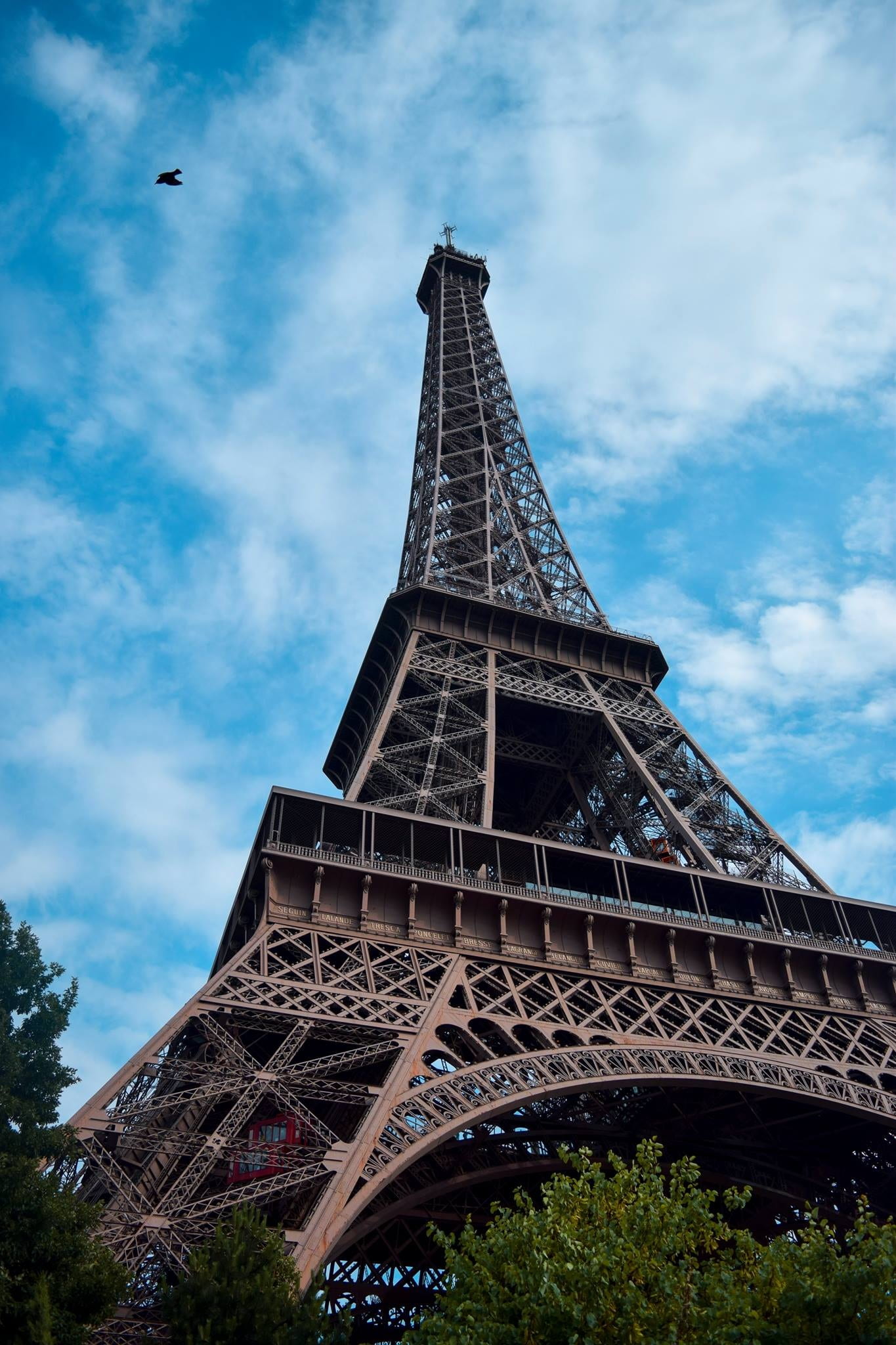 cities, monument, iron, history, eiffel tower, landscape, nature, tower, iron - metal, coffee, metal, desert, skyscraper, sky, building, boat, black, travel destinations, Phone HD Wallpaper
