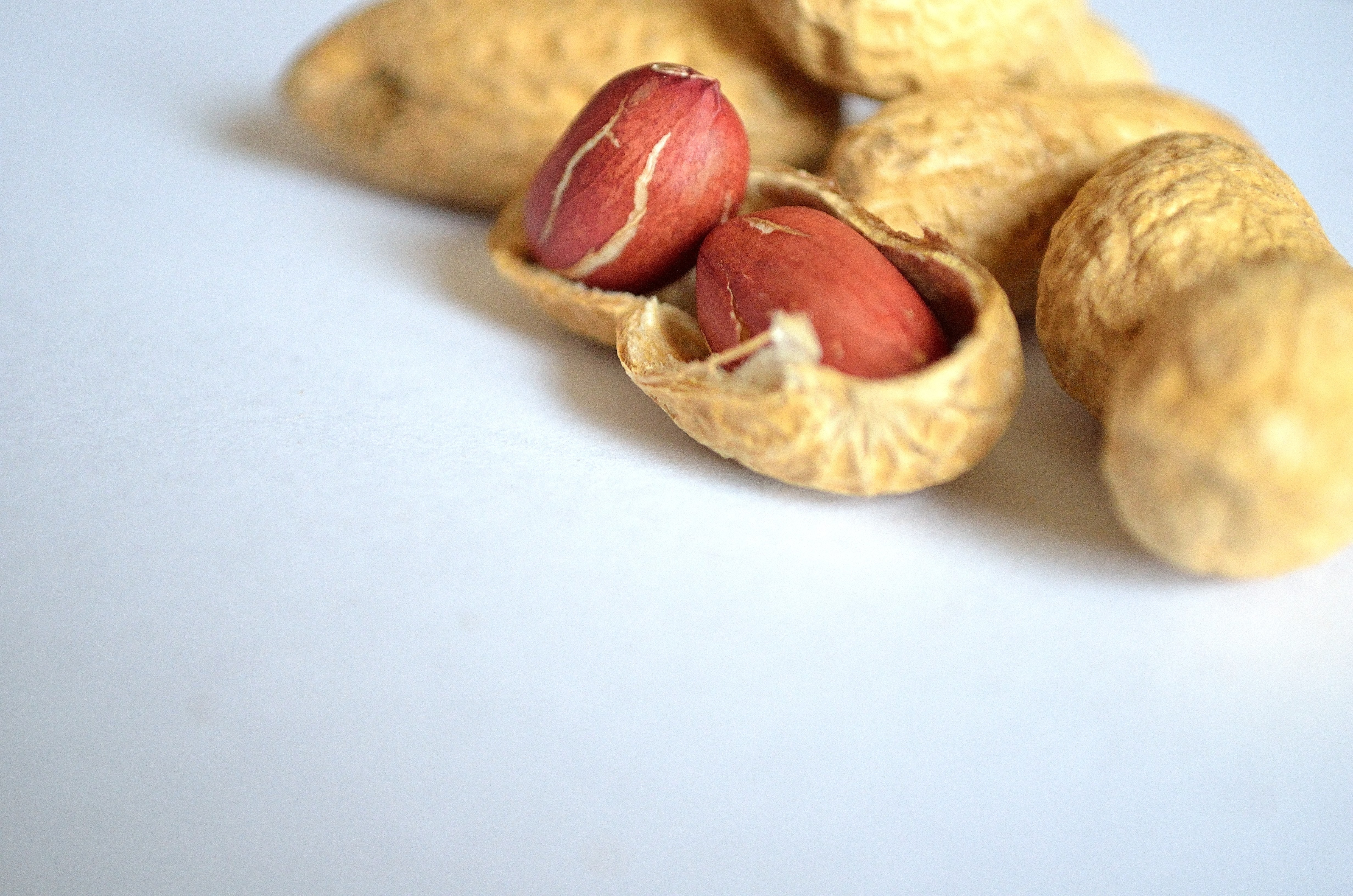 peanuts, Background, Health, table, nut - Food, macro, food And Drink, seed, snack, dried fruit, white background, wellbeing, Vitamins, no People, almonds, HD Wallpaper