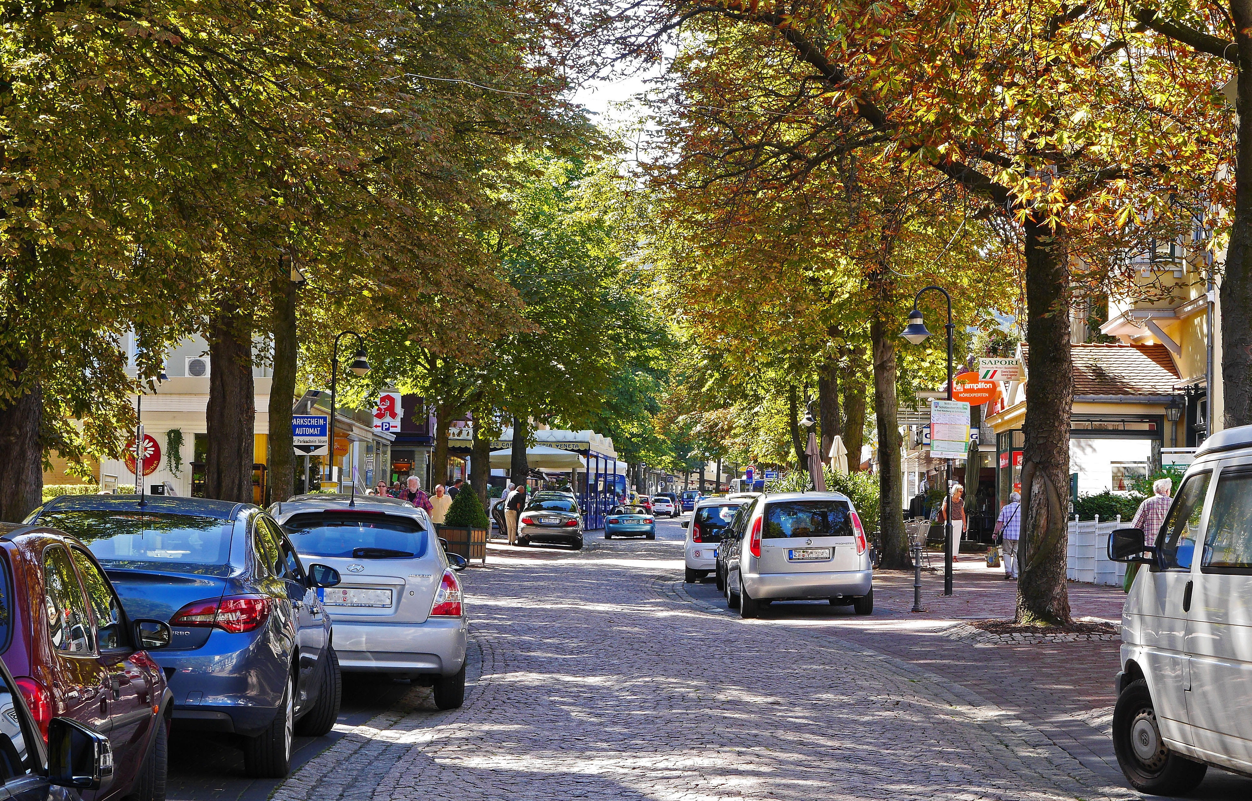 fall foliage, traffic, resin, car, chestnut, main road, city, shops, tree, building exterior, incidental people, outdoors, traffic-calmed, on the move, HD Wallpaper