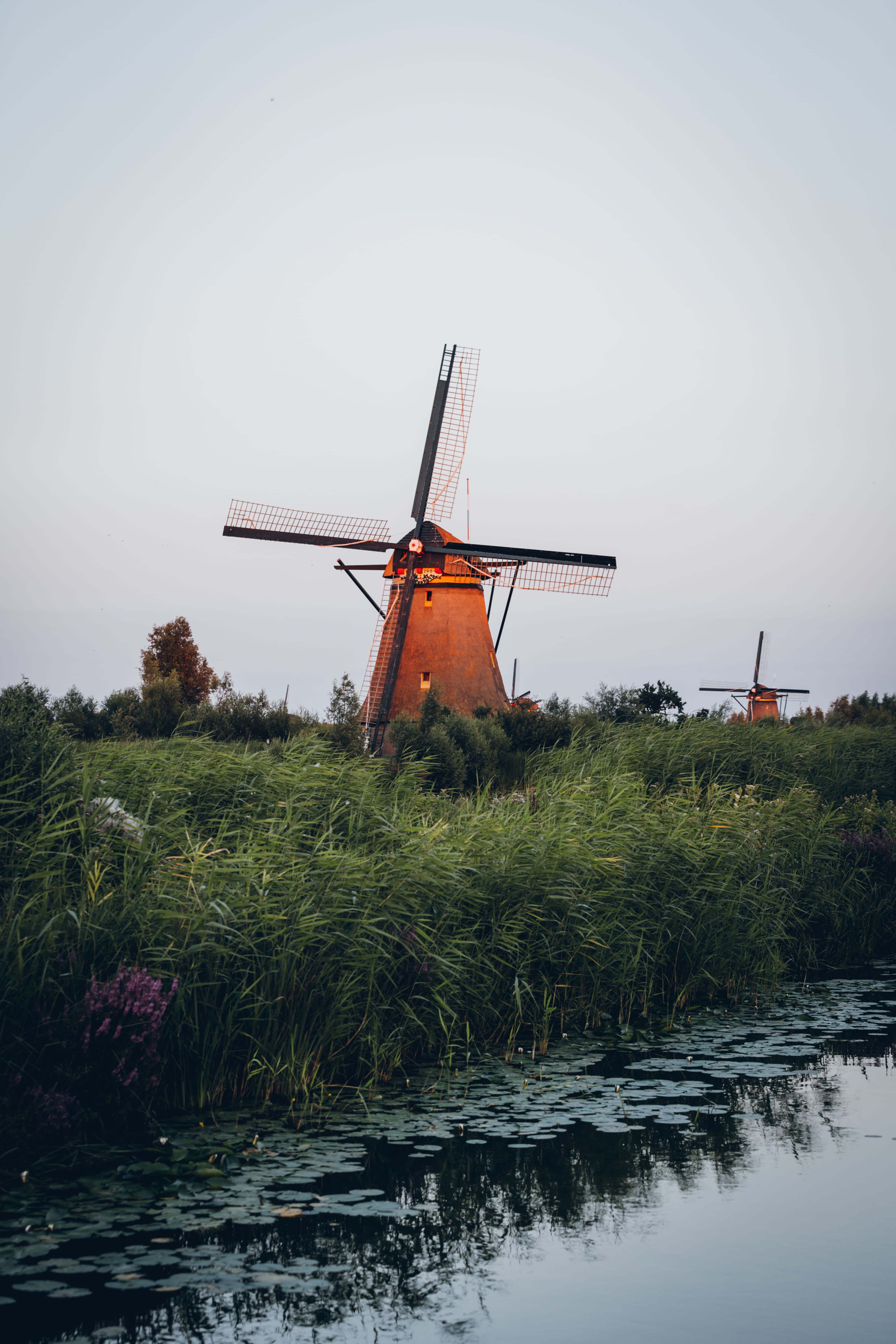 turbine, alternative energy, dutch, traditional windmill, netherlands, outdoors, plant, wind turbine, renewable energy, wind power, grass, europe, field, Phone HD Wallpaper