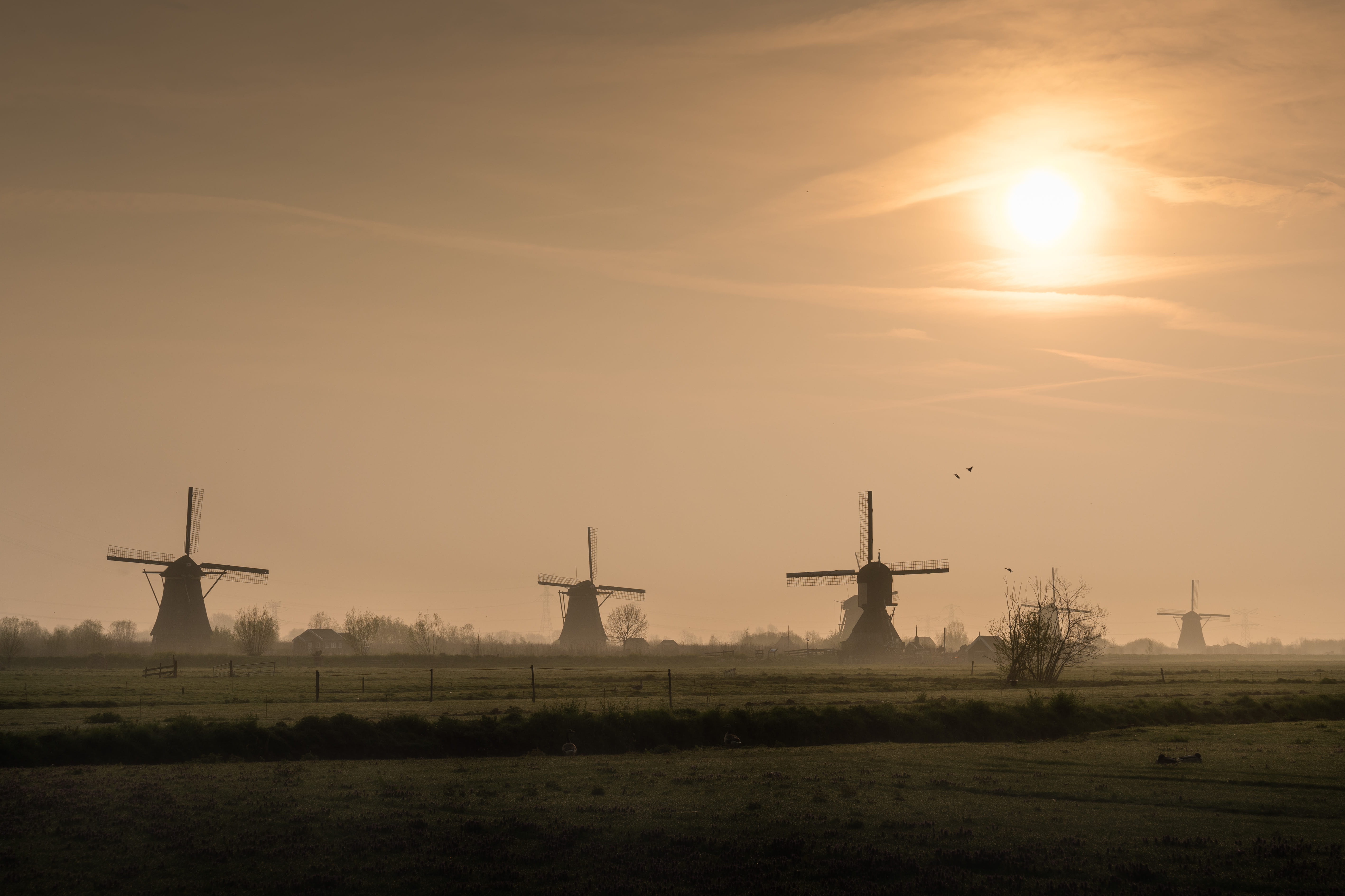 wind turbine, motor, wind power, aircraft, cloud - sky, environment, sunset, the netherlands, airplane, beauty in nature, dawn, sky, environmental conservation, HD Wallpaper