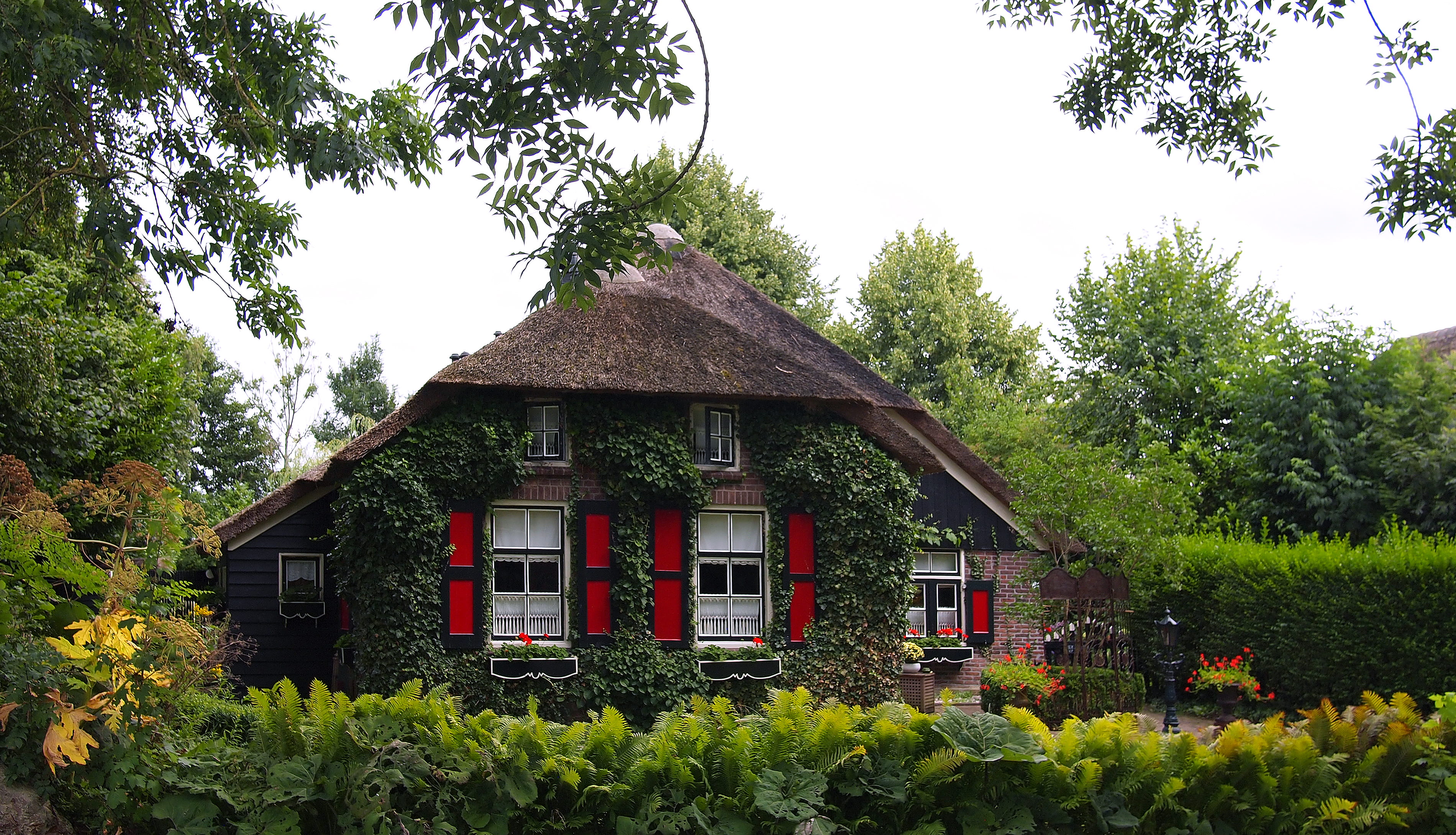 tree, beautiful, building exterior, sky, architecture, red, home, roof, dutch, village, outdoors, beauty in nature, day, green color, growth, green, plant, HD Wallpaper