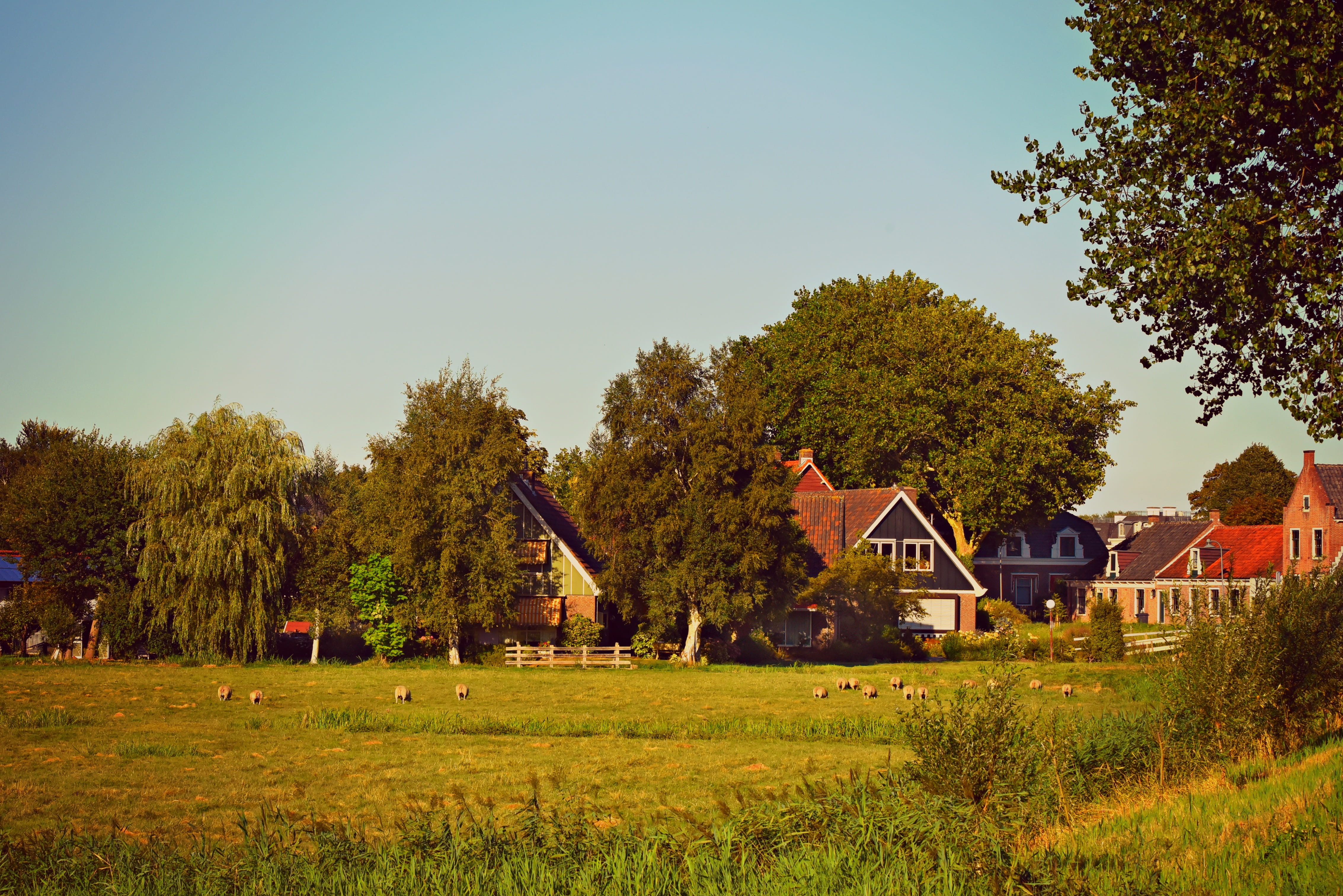 built structure, change, growth, clear sky, field, outdoors, architecture, nature, no people, countryside, residential district, tree, landscape, green color, HD Wallpaper