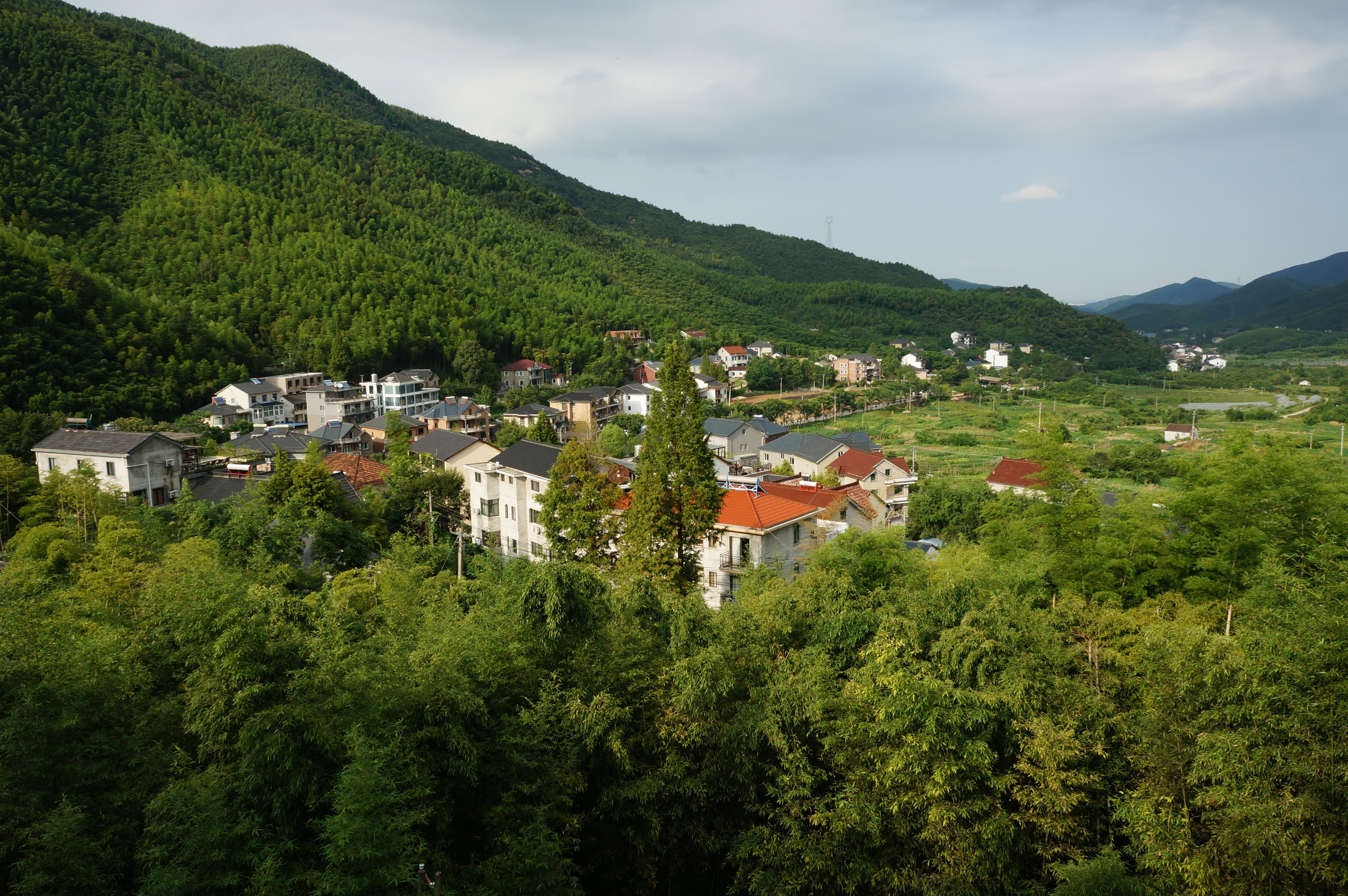 nature, mountainside, day, built structure, bamboo, the scenery, townscape, high angle view, building, green color, land, sky, no people, tree, mountain range, HD Wallpaper