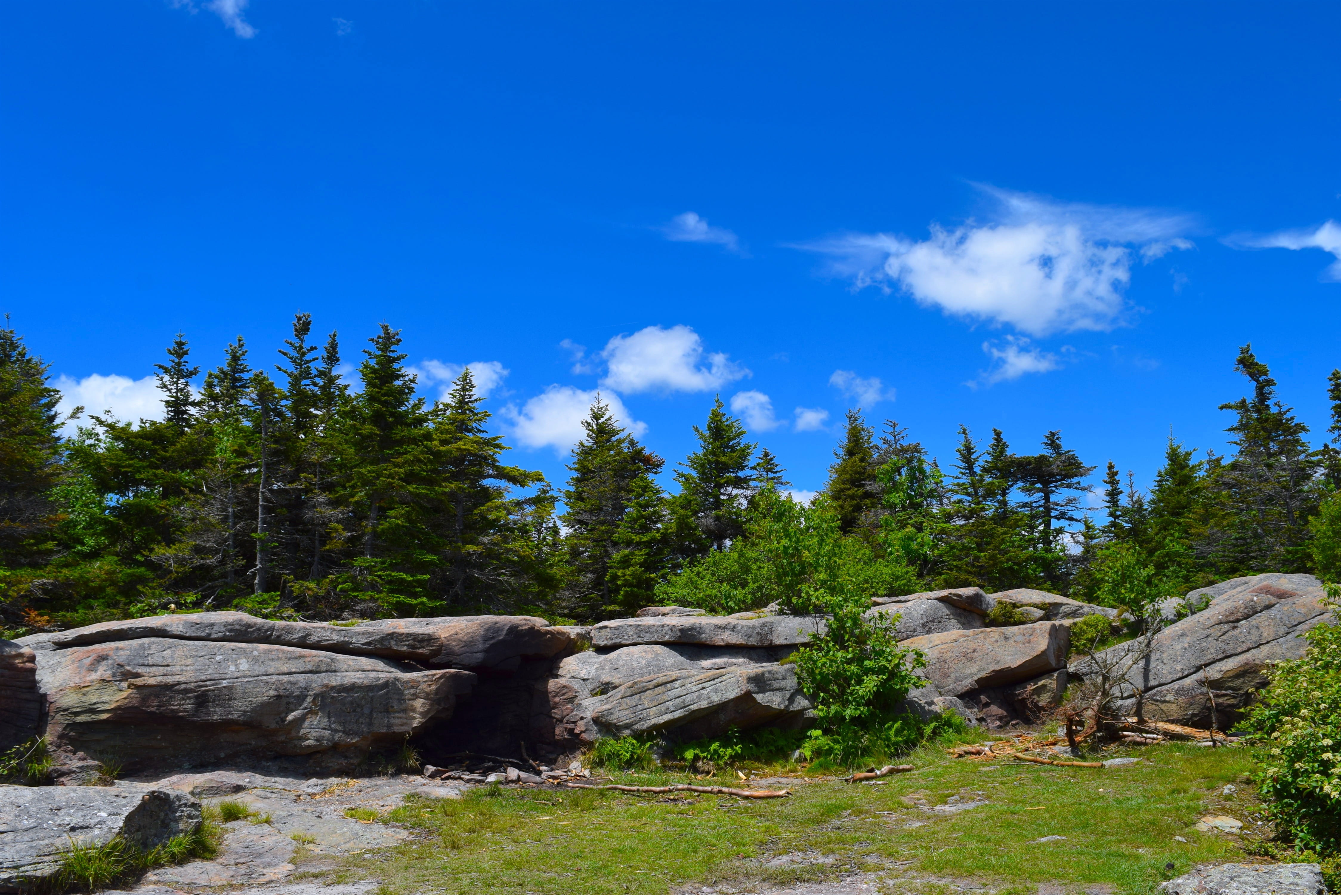 outdoor, scenics - nature, landscape, Trees, peak, sky, non-urban scene, Pine, sunlight, mountain, scenic, beauty in nature, blue, tranquility, rock, adventure, HD Wallpaper