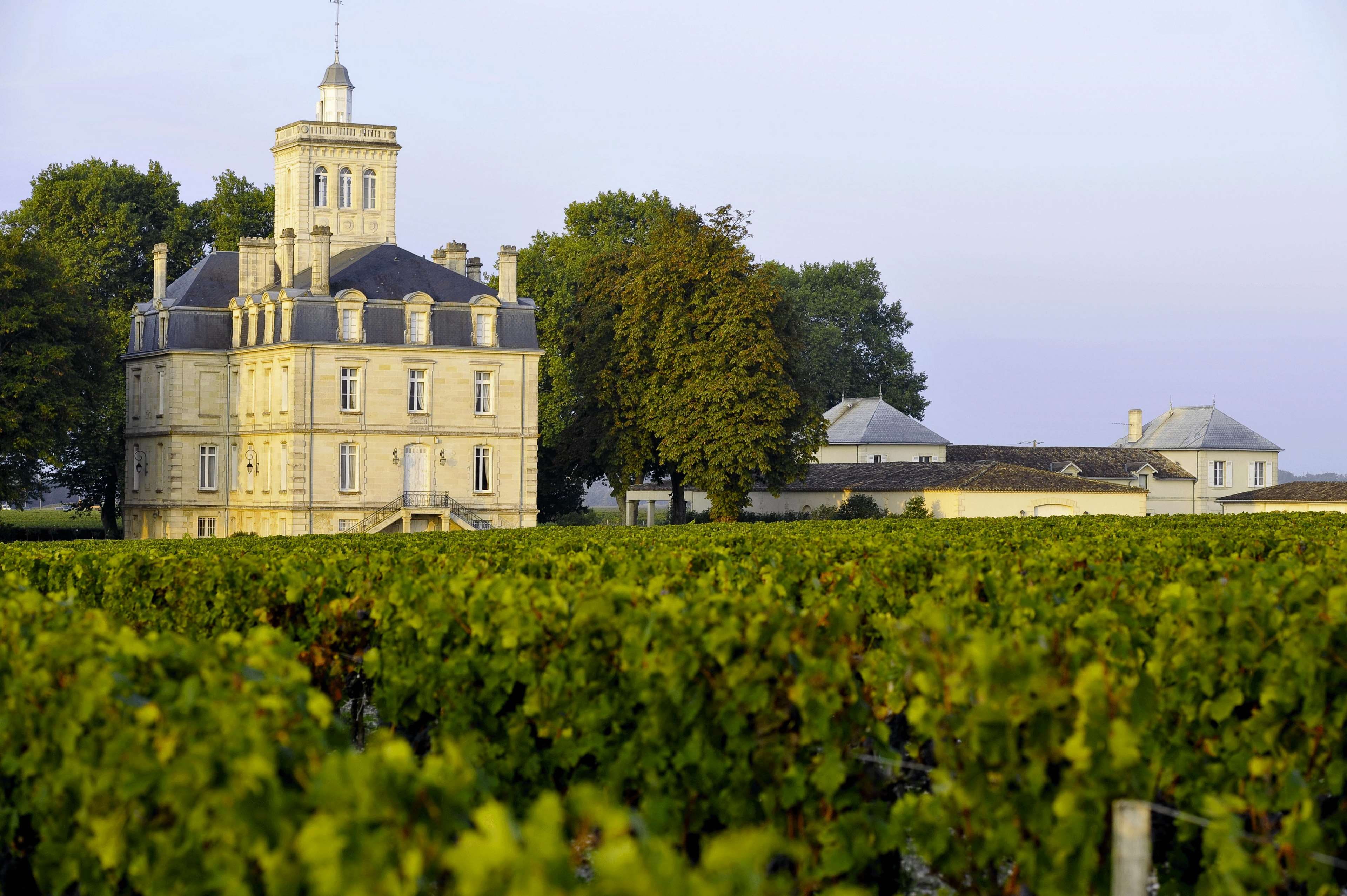 the past, chateaux vignes, building exterior, growth, no people, 4K, residential district, history, chateaux bordeaux, landscape, haut medoc, tower, house, HD Wallpaper