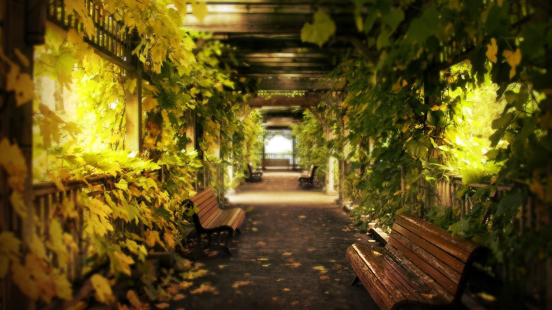 sun, religion, summer, old, city, landscape, the way forward, stone, sky, direction, built structure, alley, park, selective focus, seat, ancient, travel, HD Wallpaper