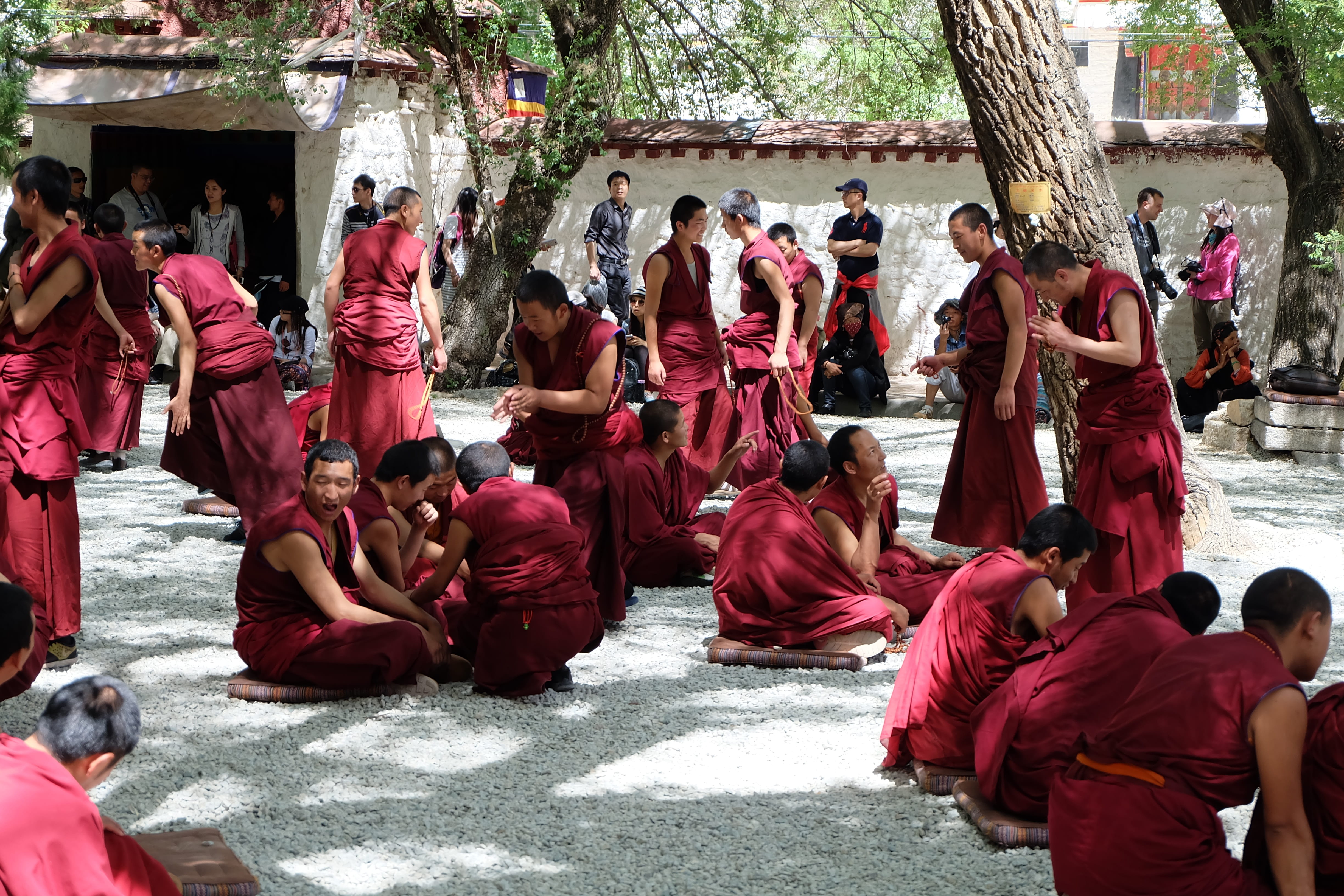 religion, men, 4K, group of people, day, togetherness, young, belief, adult, Students, traditional clothing, full length, Tibet, women, spirituality, real people, HD Wallpaper
