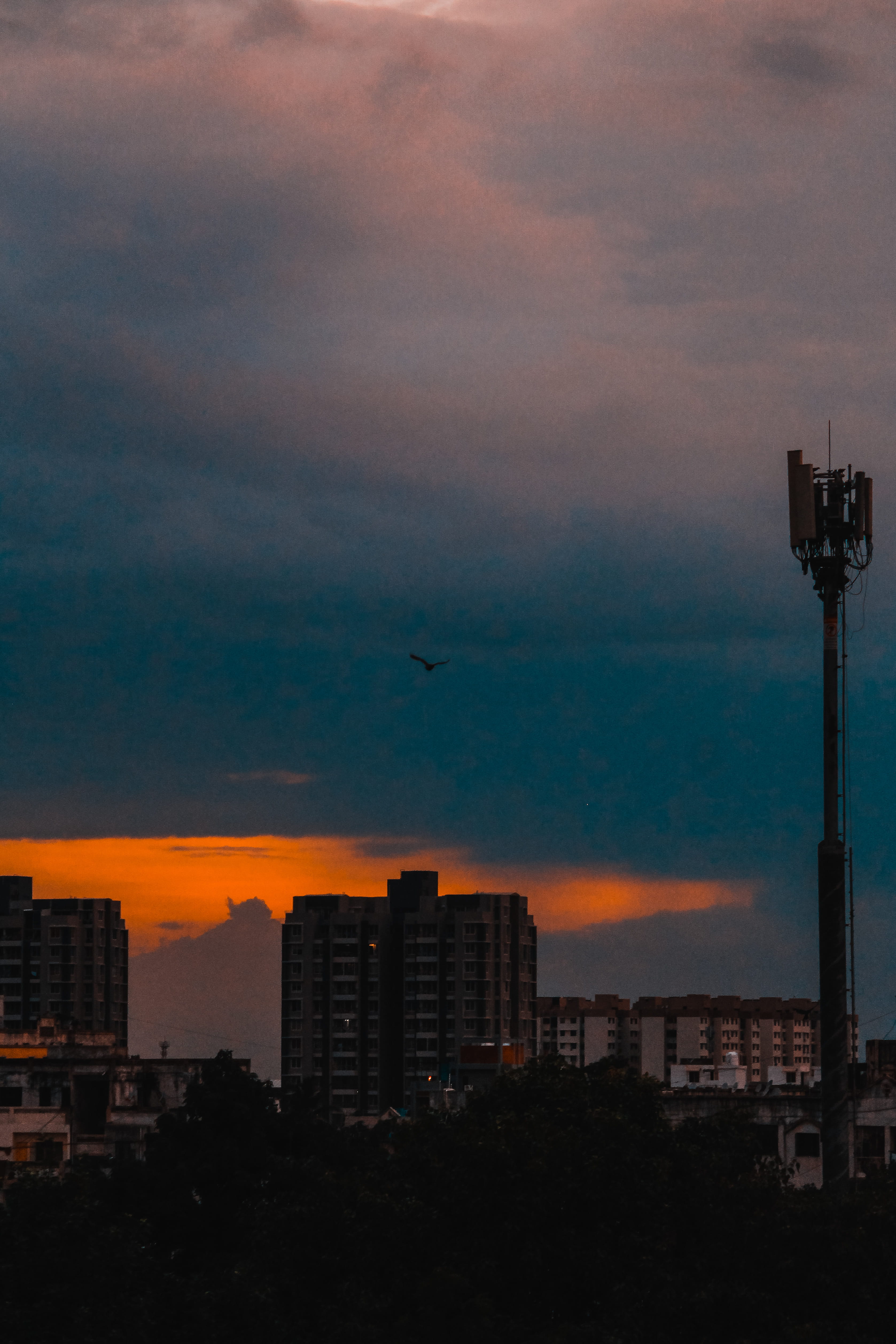 flying, nature, building exterior, cloud - sky, dusk, sky, silhouette, ahmedabad, sunset, no people, city, tower, thaltej, cityscape, bird, vertebrate, Phone HD Wallpaper