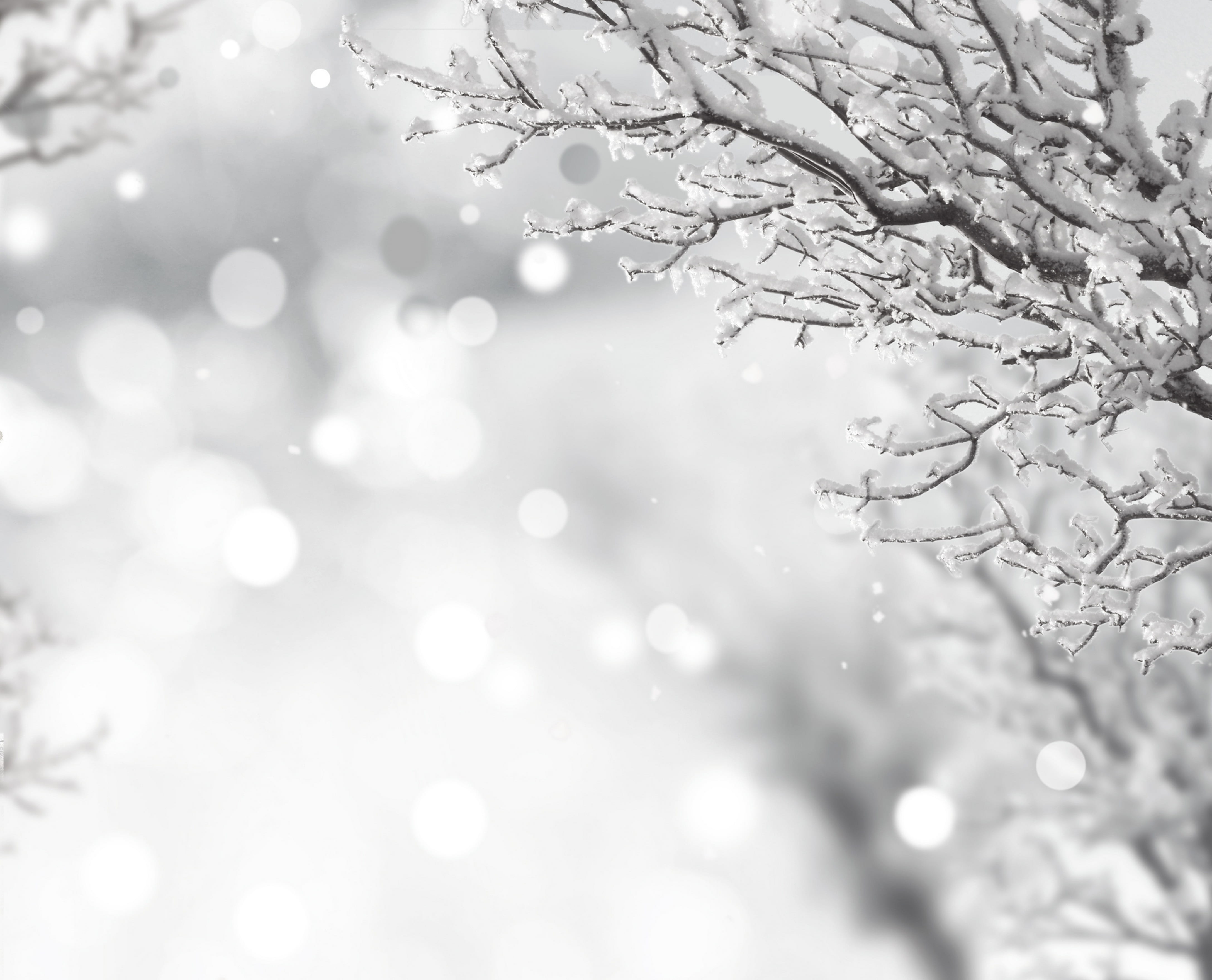 frozen, nature, water, selective focus, wet, close, outdoors, rain, beautiful, beauty in nature, like ice, 4K, christmas, backgrounds, drop, lake, pond, HD Wallpaper
