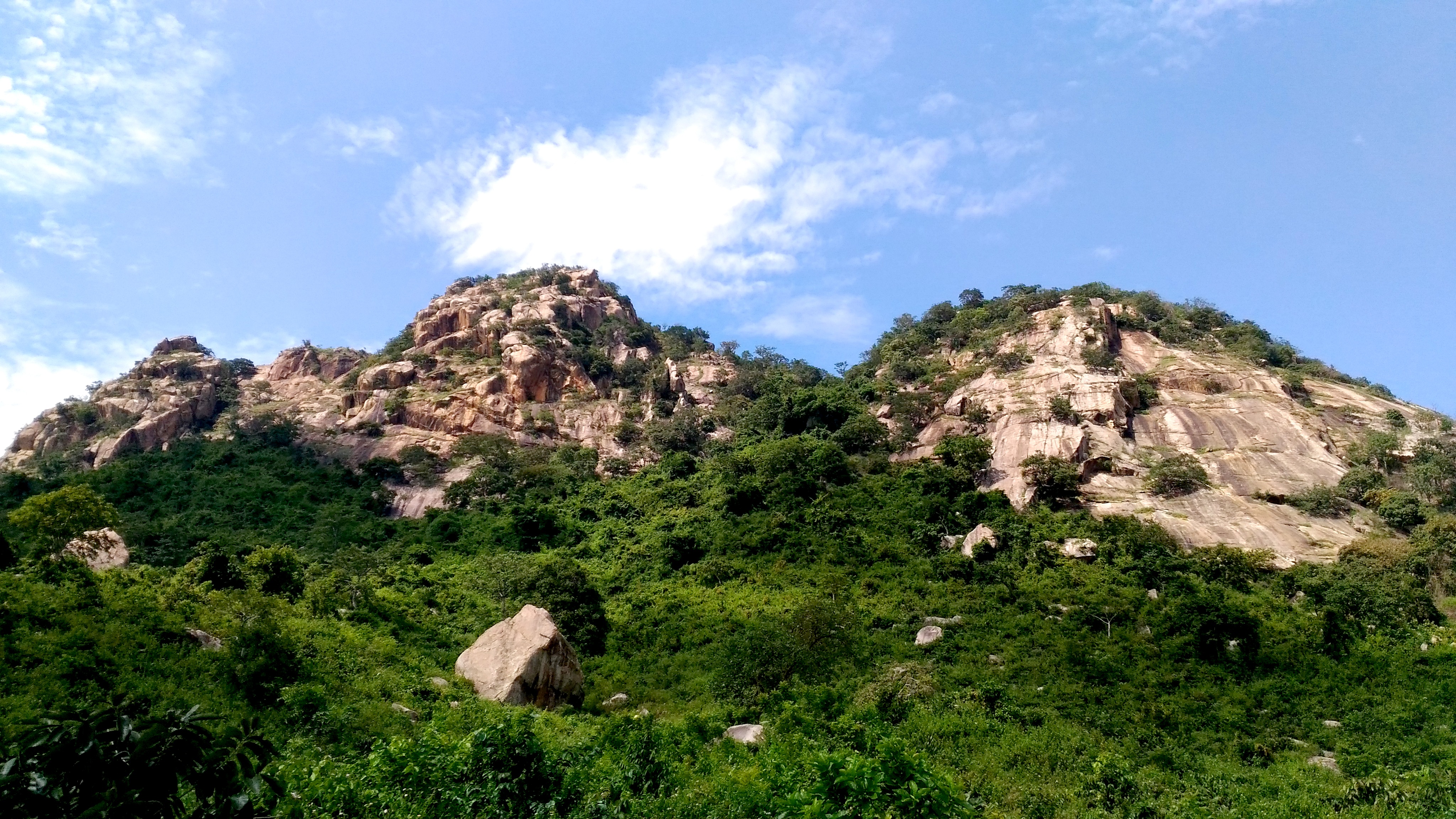 outdoor, solid, india, no people, west bengal, day, blue, forest, cloud - sky, summer, low angle view, beauty in nature, scenics - nature, landscape, green, HD Wallpaper