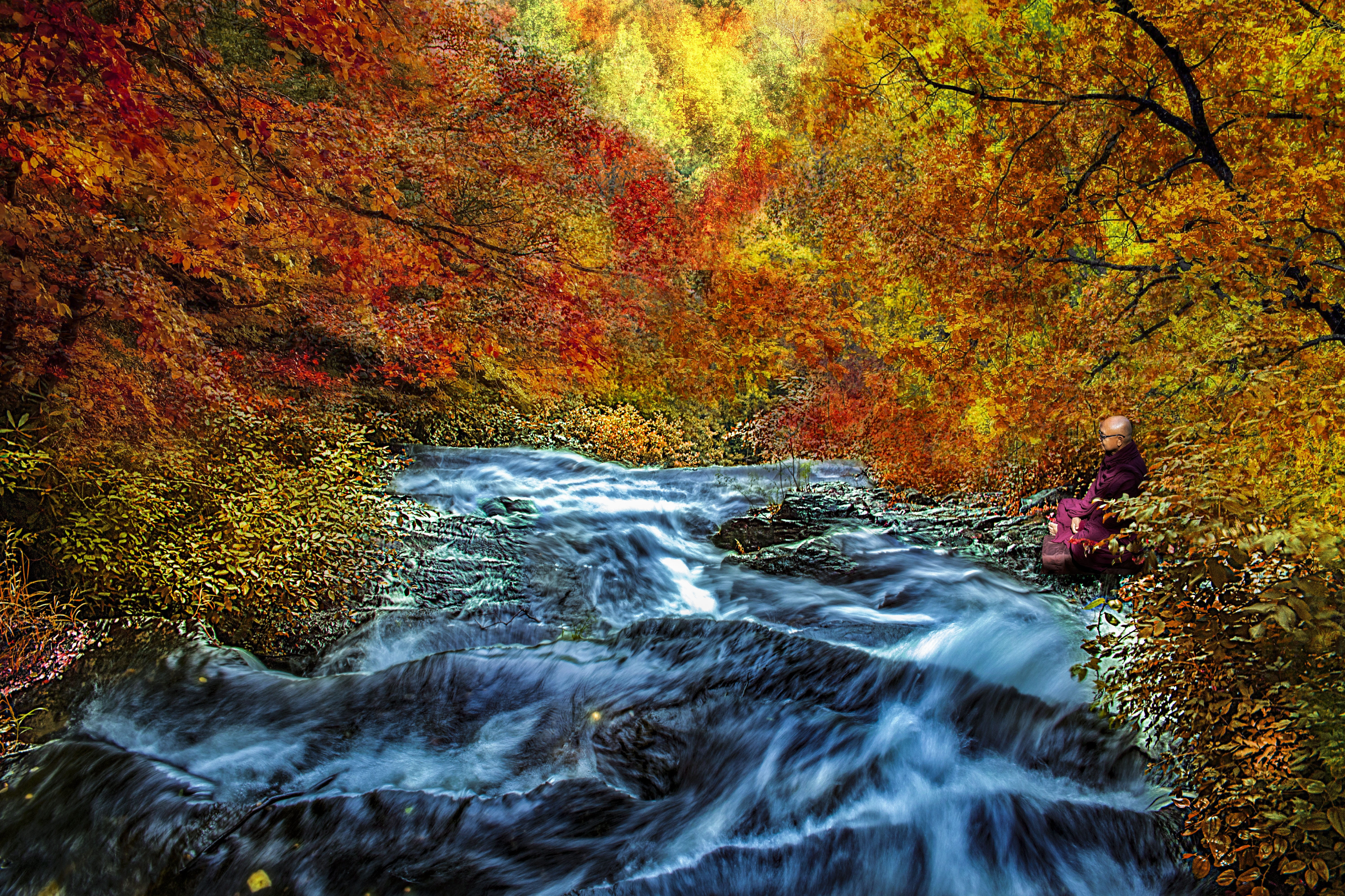 nature, tranquil, no people, flowing water, stream, power in nature, orange color, seasonal, rock - object, scenics - nature, waterfall, 5K, season, river, HD Wallpaper