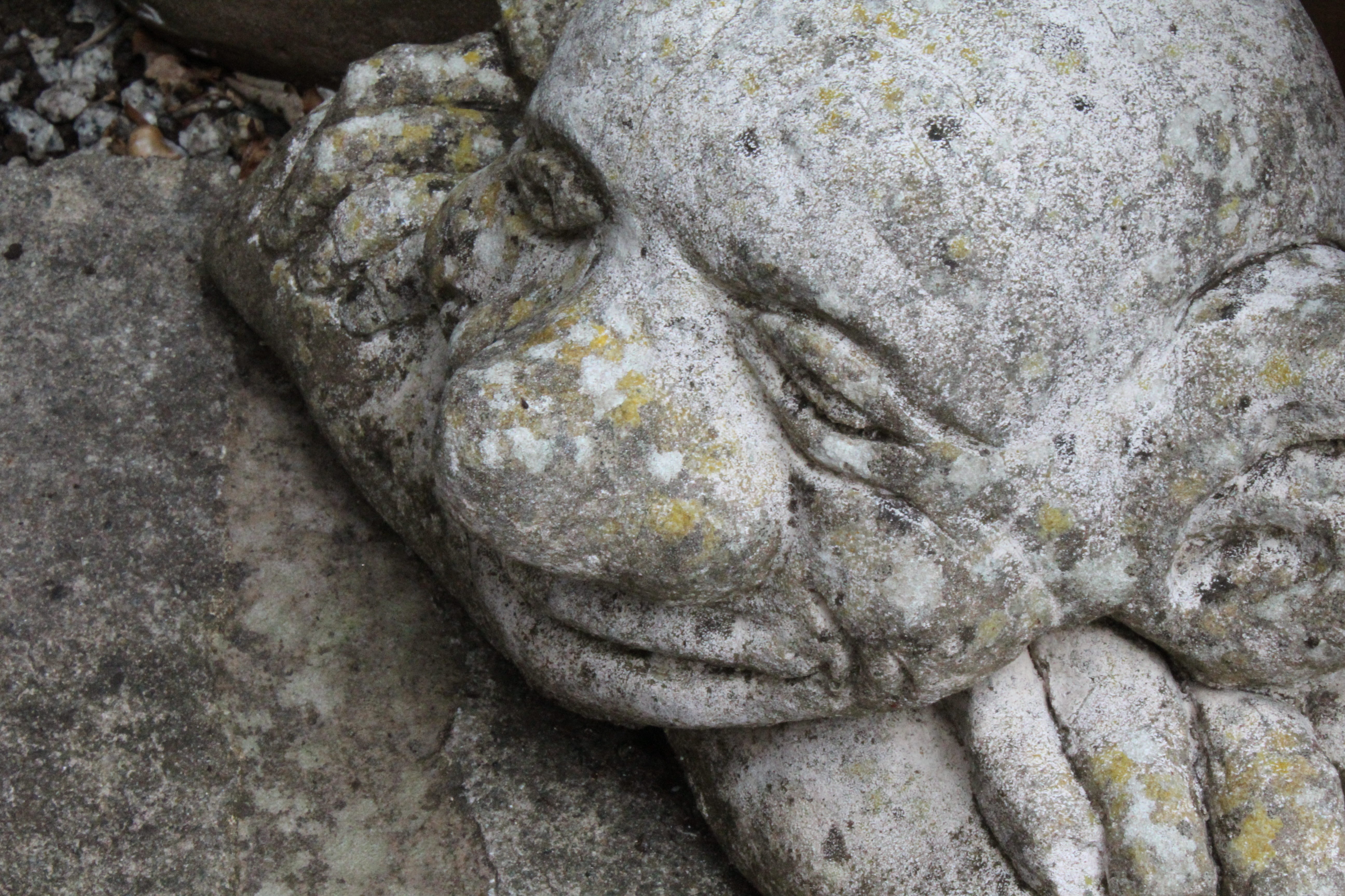 stone, close-up, creativity, mythology, scary, full frame, beast, head, art and craft, no people, creepy, human representation, textured, rock, goblin, HD Wallpaper