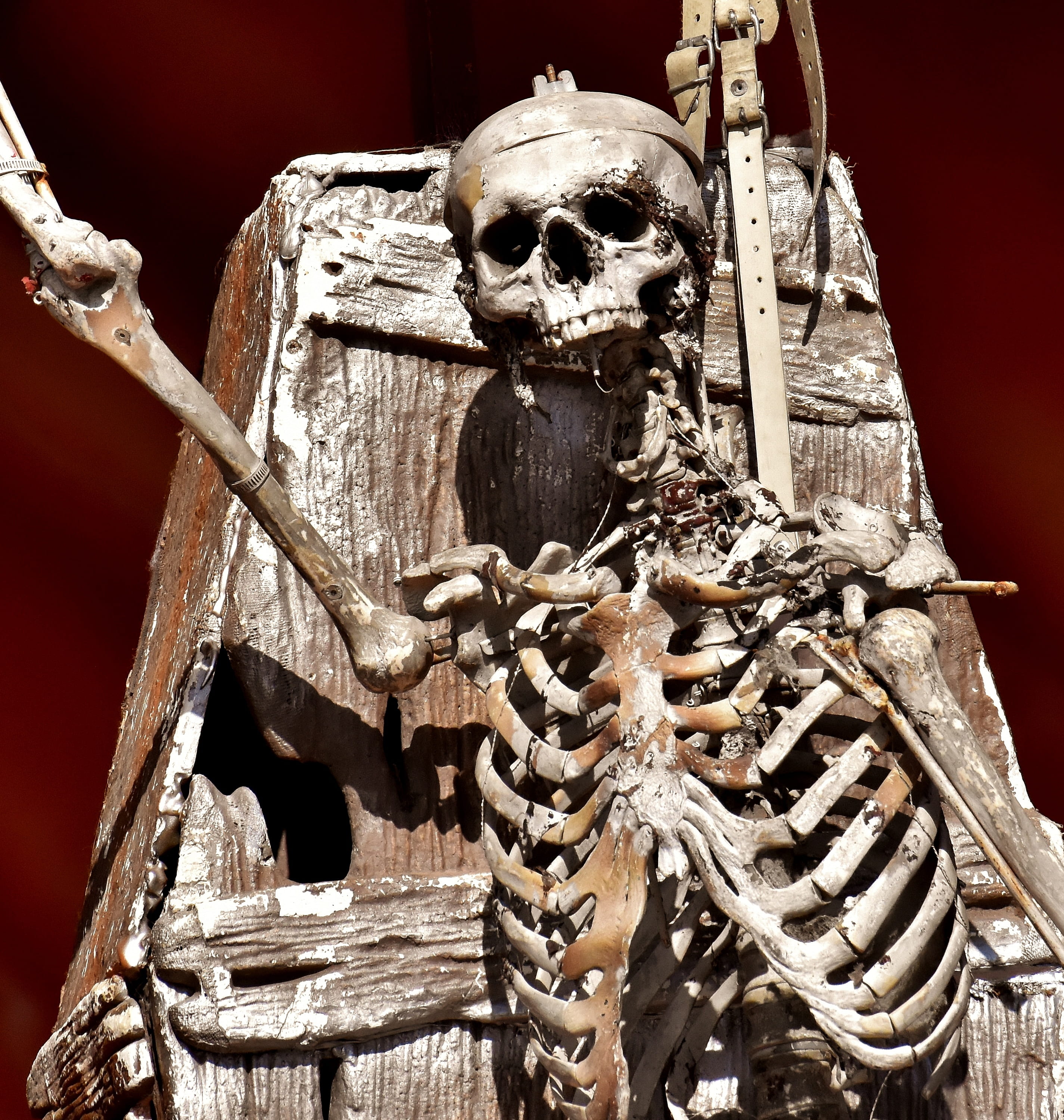 weird, creativity, horror train, creepy, statue, year market, ride, fairground, human skeleton, carnies, photography, folk festival, skeleton, craft, fair, Phone HD Wallpaper