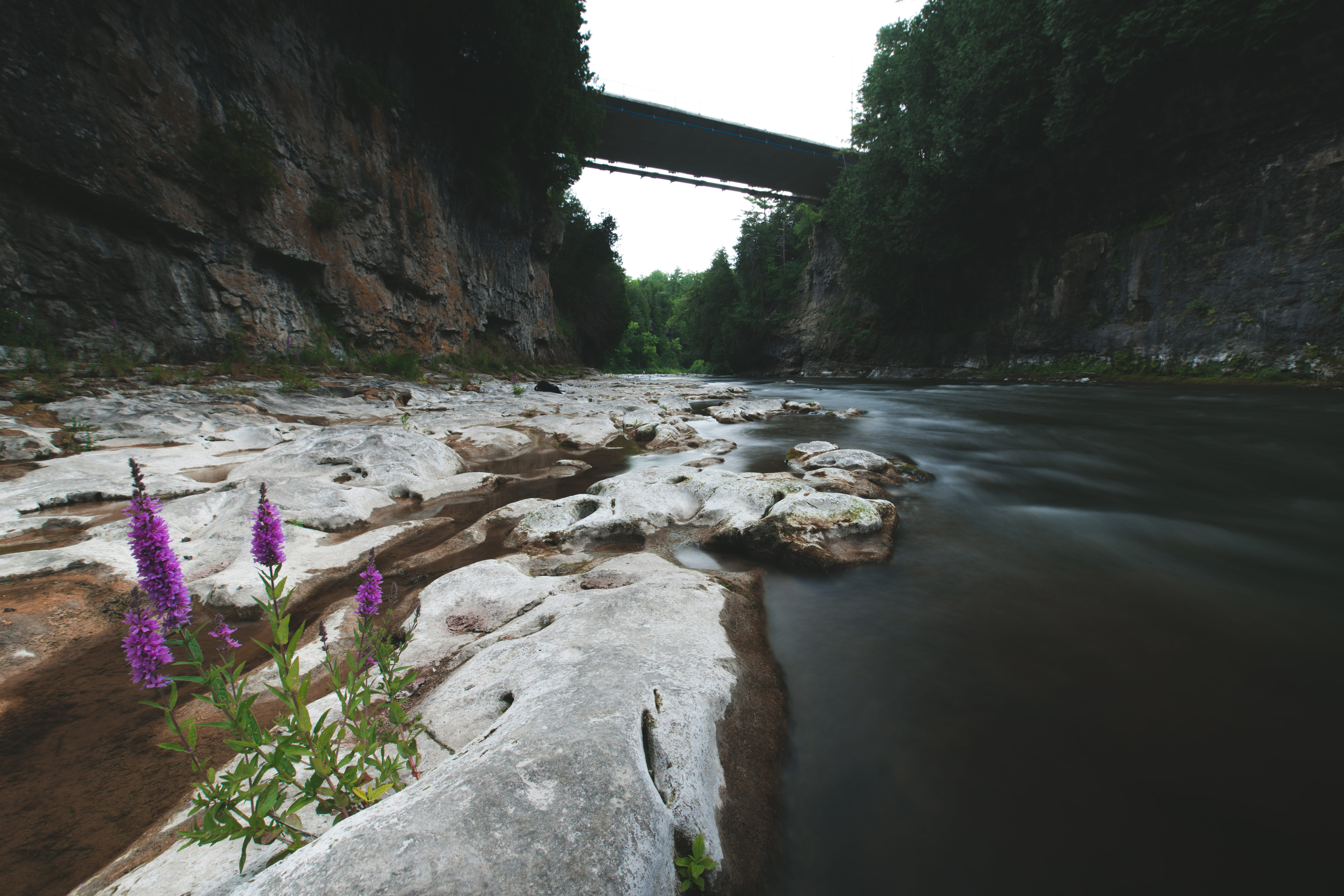 rock, water, nature, rock - object, solid, gorge, built structure, elora, day, river, rock formation, grand river, building exterior, elora gorge, scenics - nature, HD Wallpaper