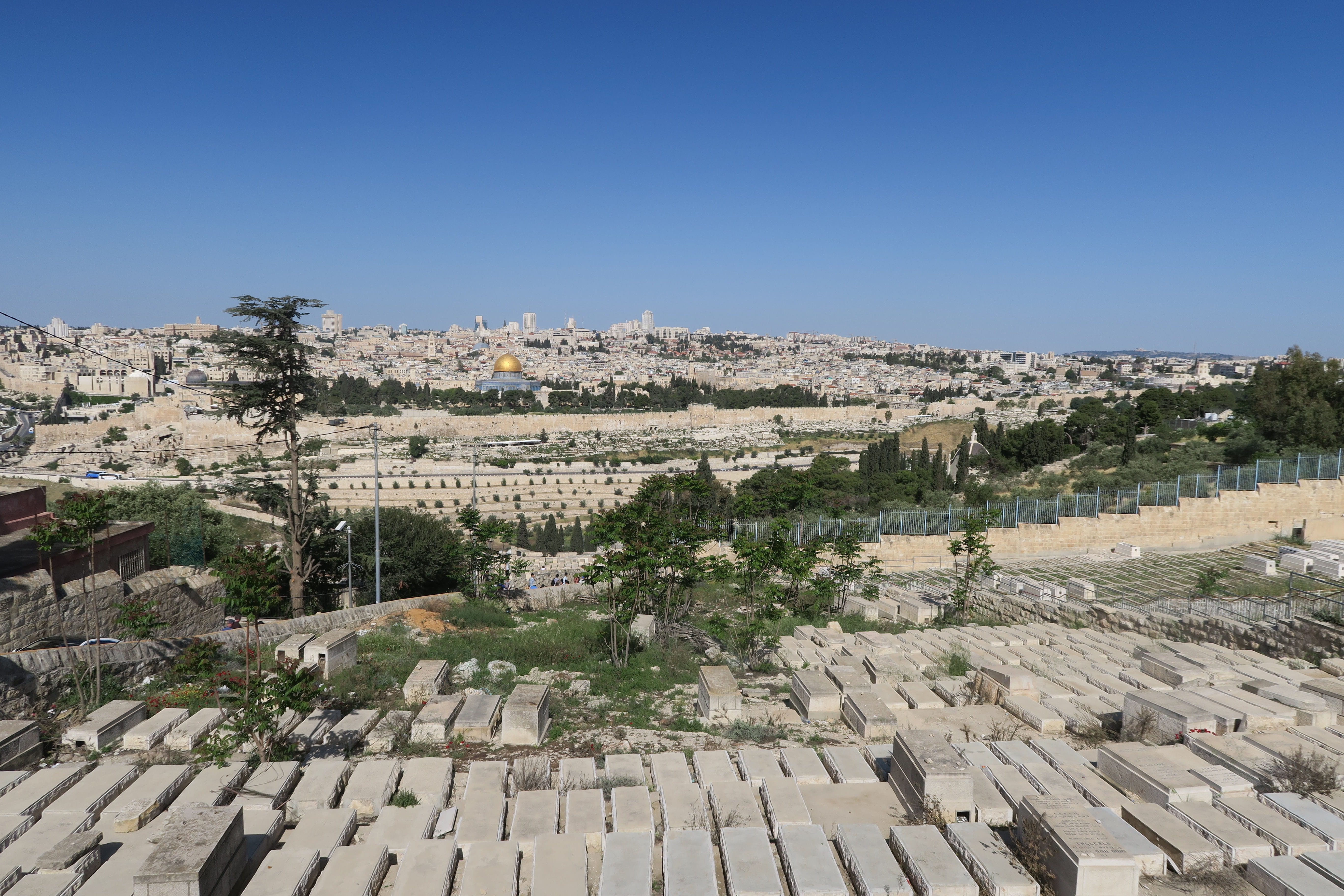 tree, jerusalem, outdoors, building, architecture, panoramic, cityscape, building exterior, on, travel destinations, cemetery, church, nature, built structure, HD Wallpaper