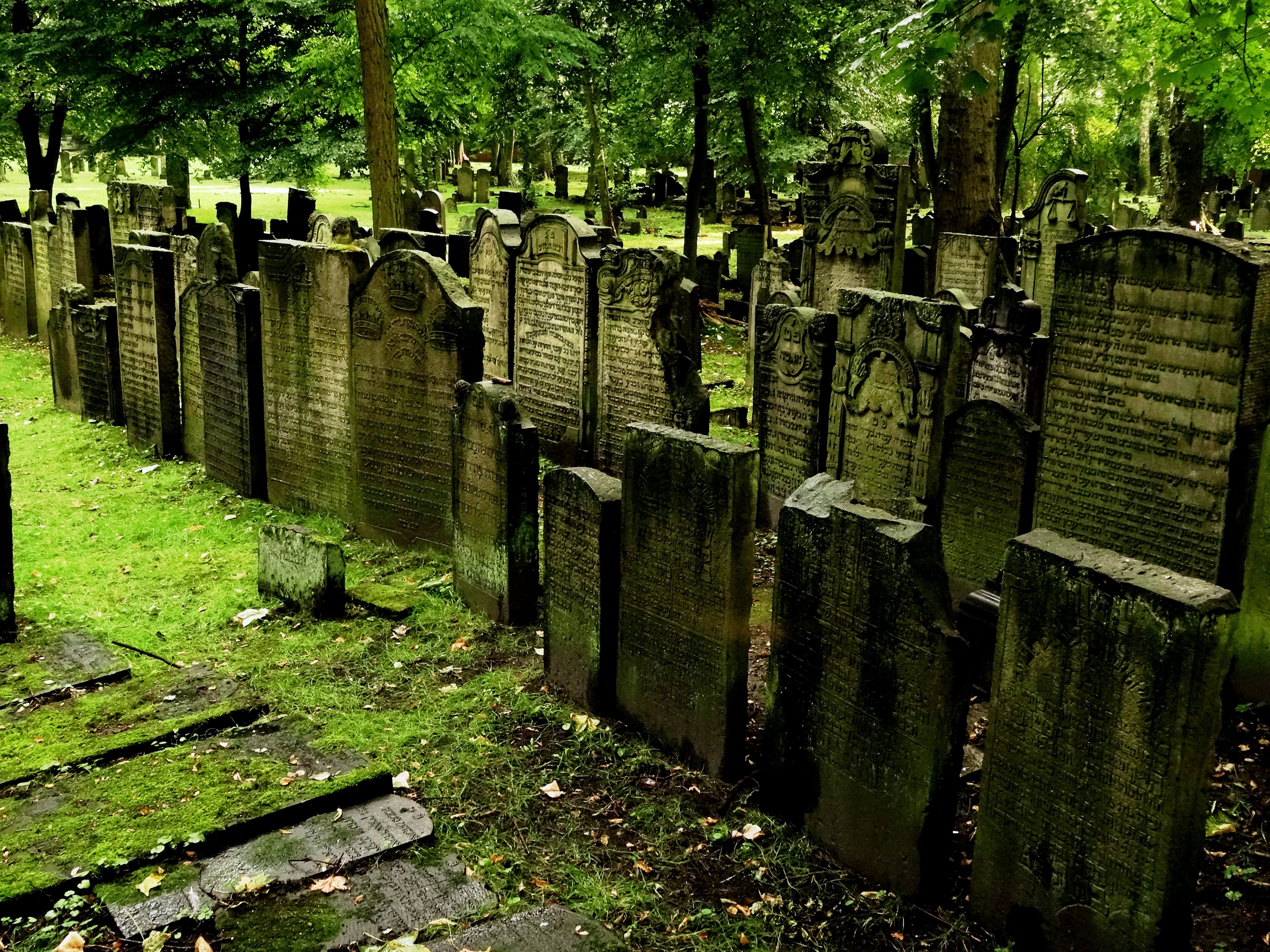 wood - material, outdoors, green Color, large group of objects, history, tombstone, land, no People, in a row, plant, the past, grave stones, stone, day, HD Wallpaper