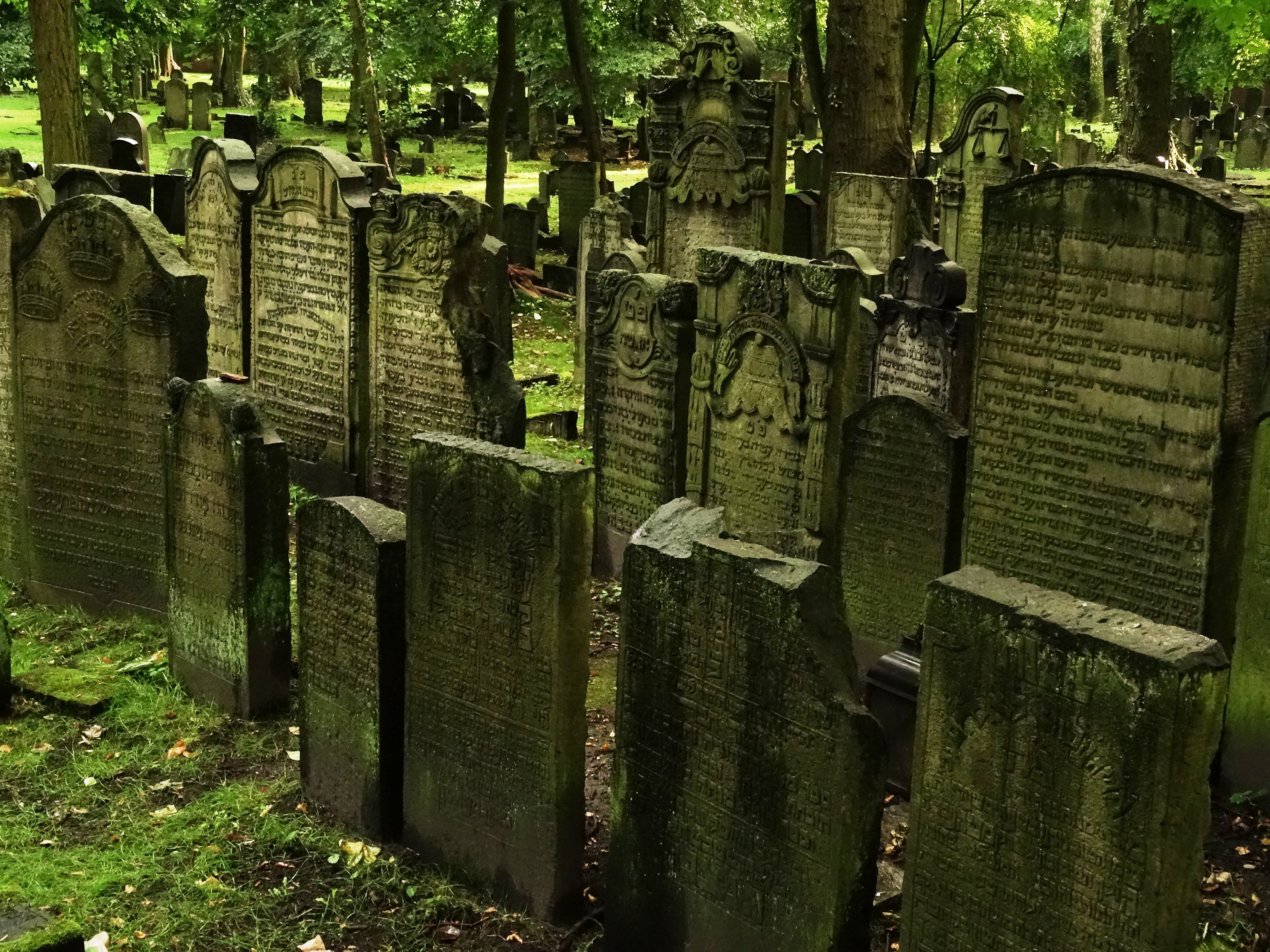 wood - material, grave stones, religion, tree, outdoors, tomb, grave, spirituality, architecture, stone, graves, nature, grass, the past, green color, jewish cemetery, HD Wallpaper