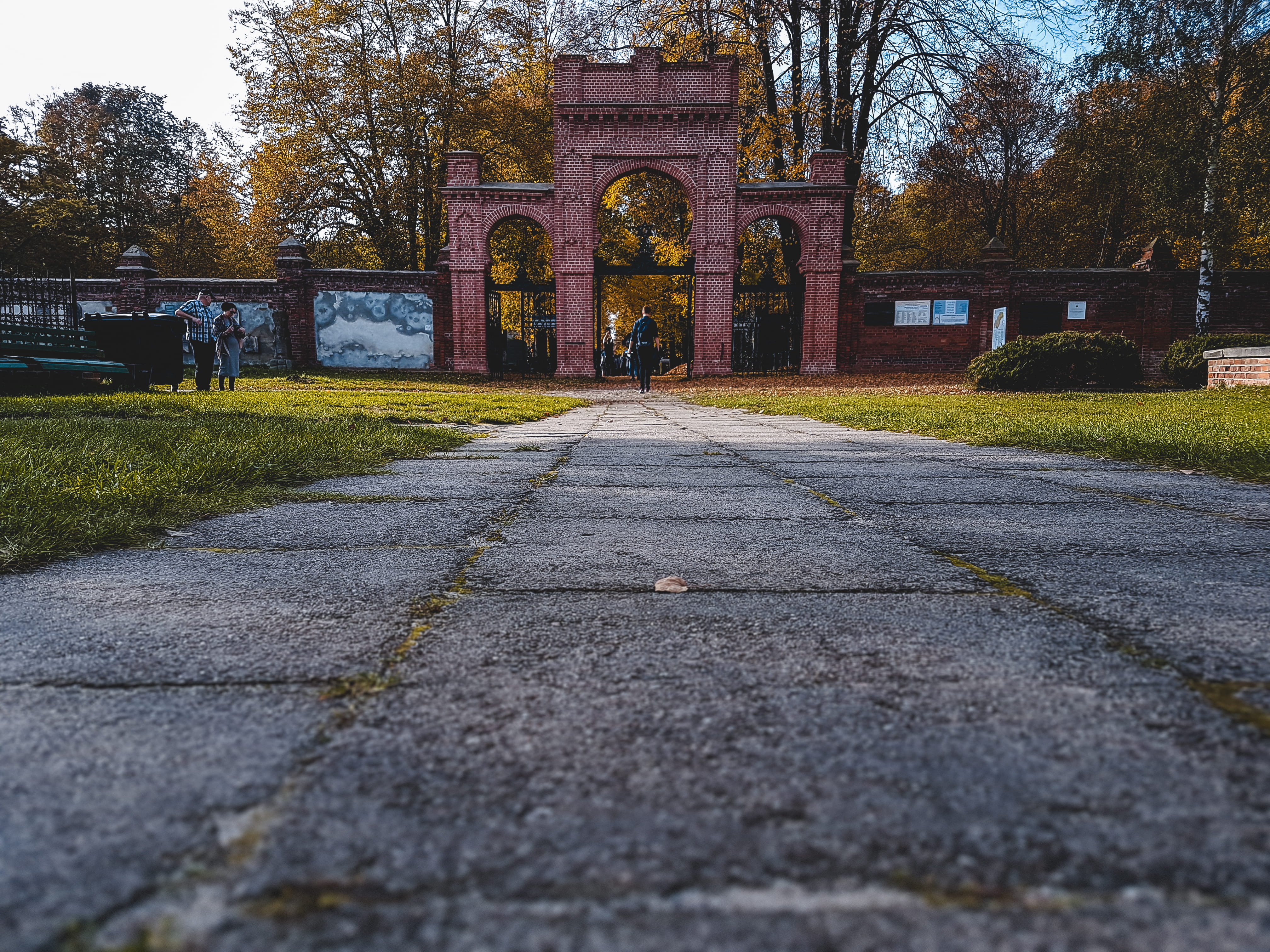 transportation, building exterior, tree, day, outdoors, poland, the way forward, lodz, arch, diminishing perspective, road, jewish, 4K, park, nature, travel destinations, HD Wallpaper
