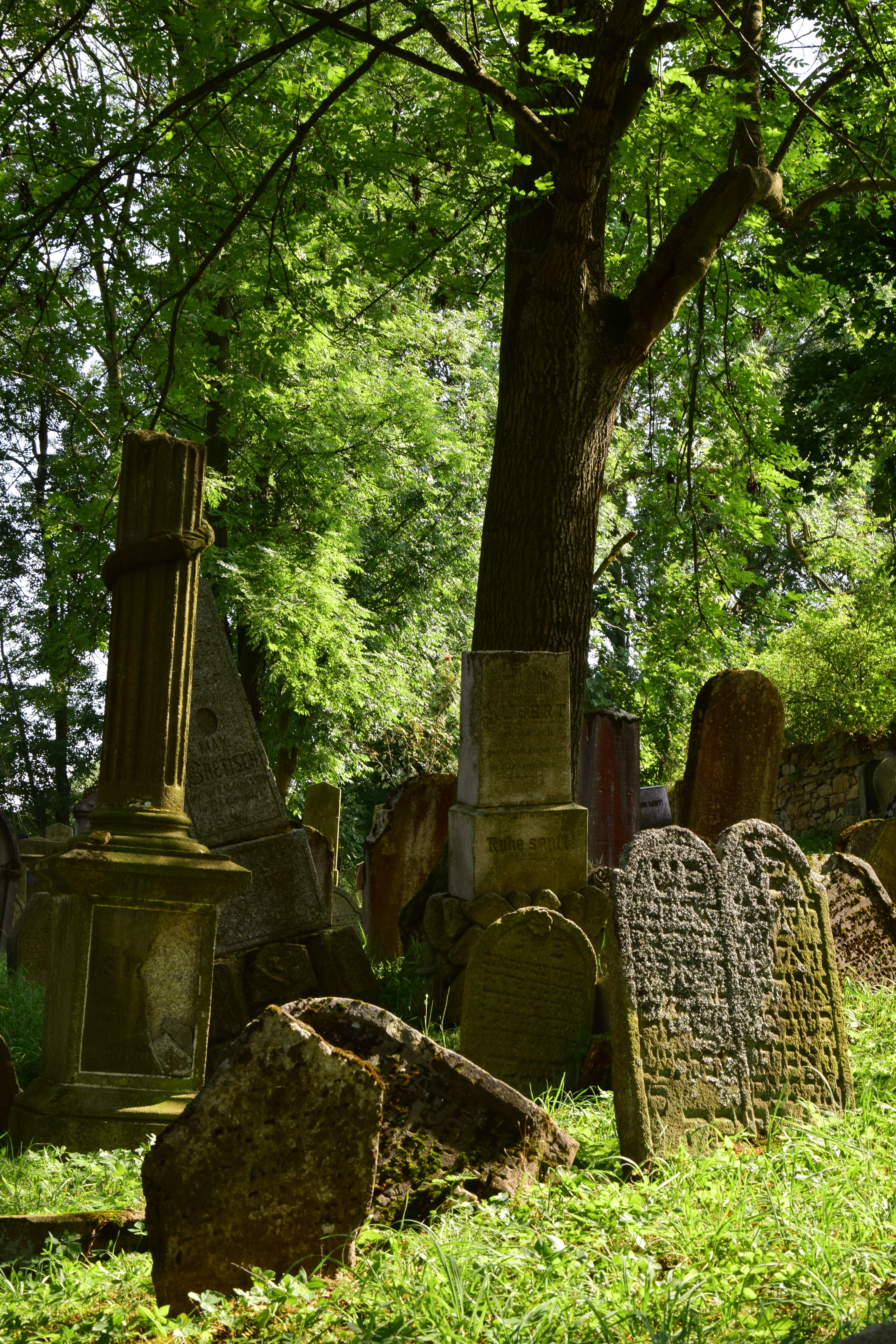 growth, cemetery, grave, architecture, the past, forest cemetery, forest, solid, outdoors, spirituality, history, stone material, day, 5K, land, tree, Phone HD Wallpaper