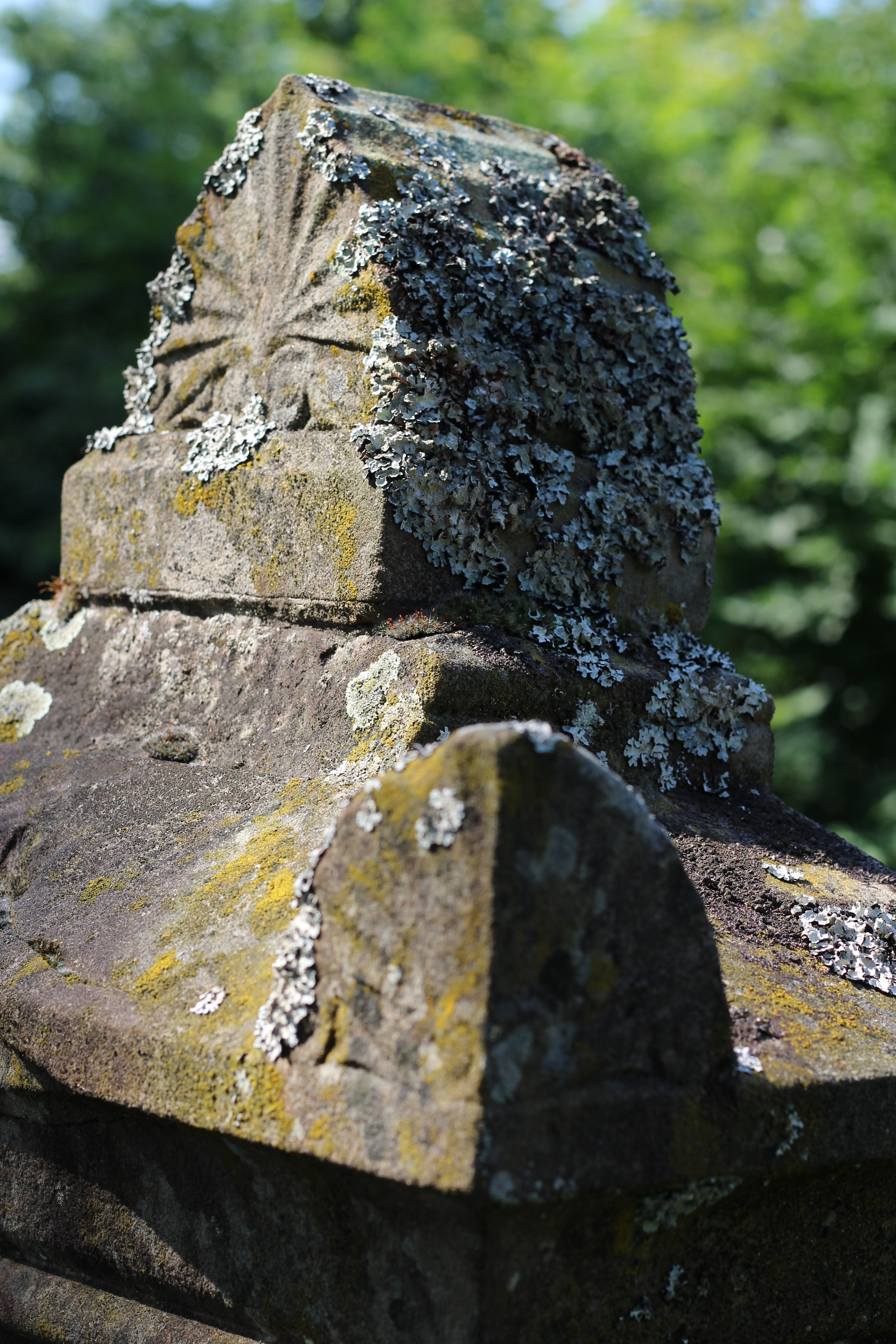 no people, the past, focus on foreground, 5K, grave, last calm, stone, memory, weathered, day, lichen, solid, close-up, nature, architecture, outdoors, Phone HD Wallpaper