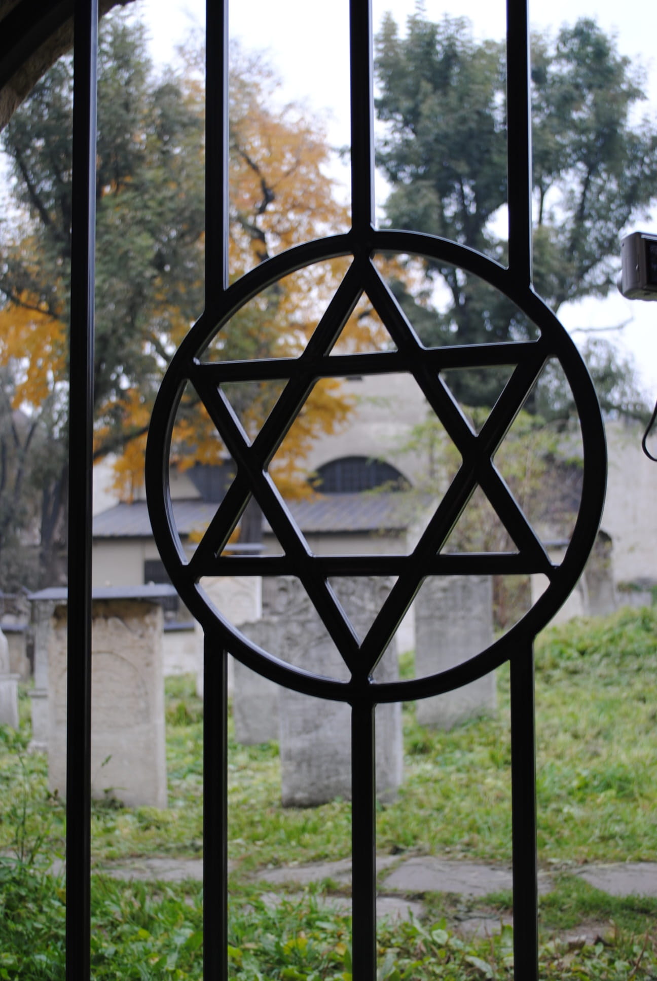 memorial, tree, close-up, plant, focus on foreground, cemetery, davids star, built structure, day, glass - material, outdoors, 1080P, pattern, building, Phone HD Wallpaper