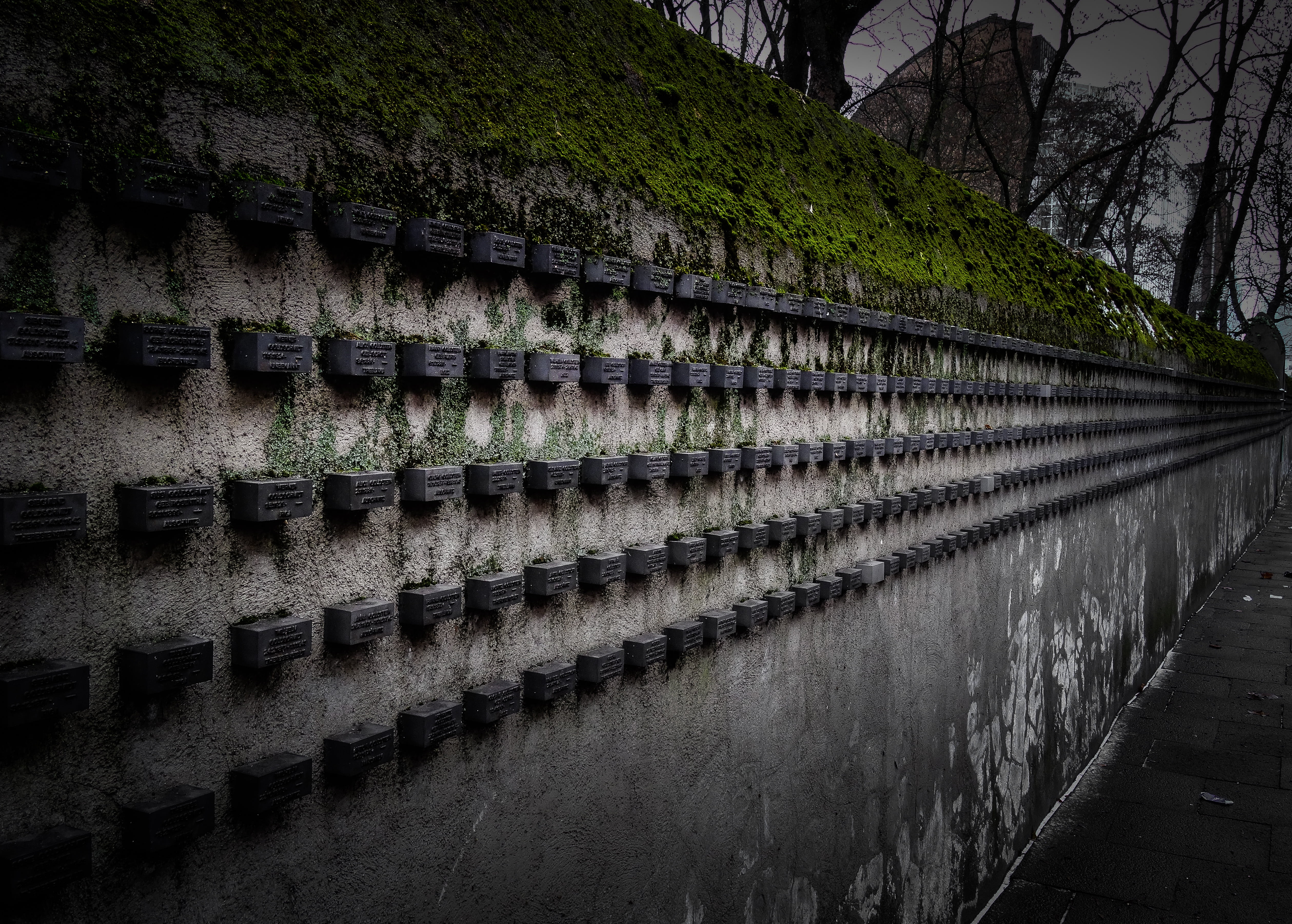 wall - building feature, 4K, nature, judaism, monument, reflection, jews, day, architecture, holocaust, tree, outdoors, tranquility, memory, built structure, HD Wallpaper