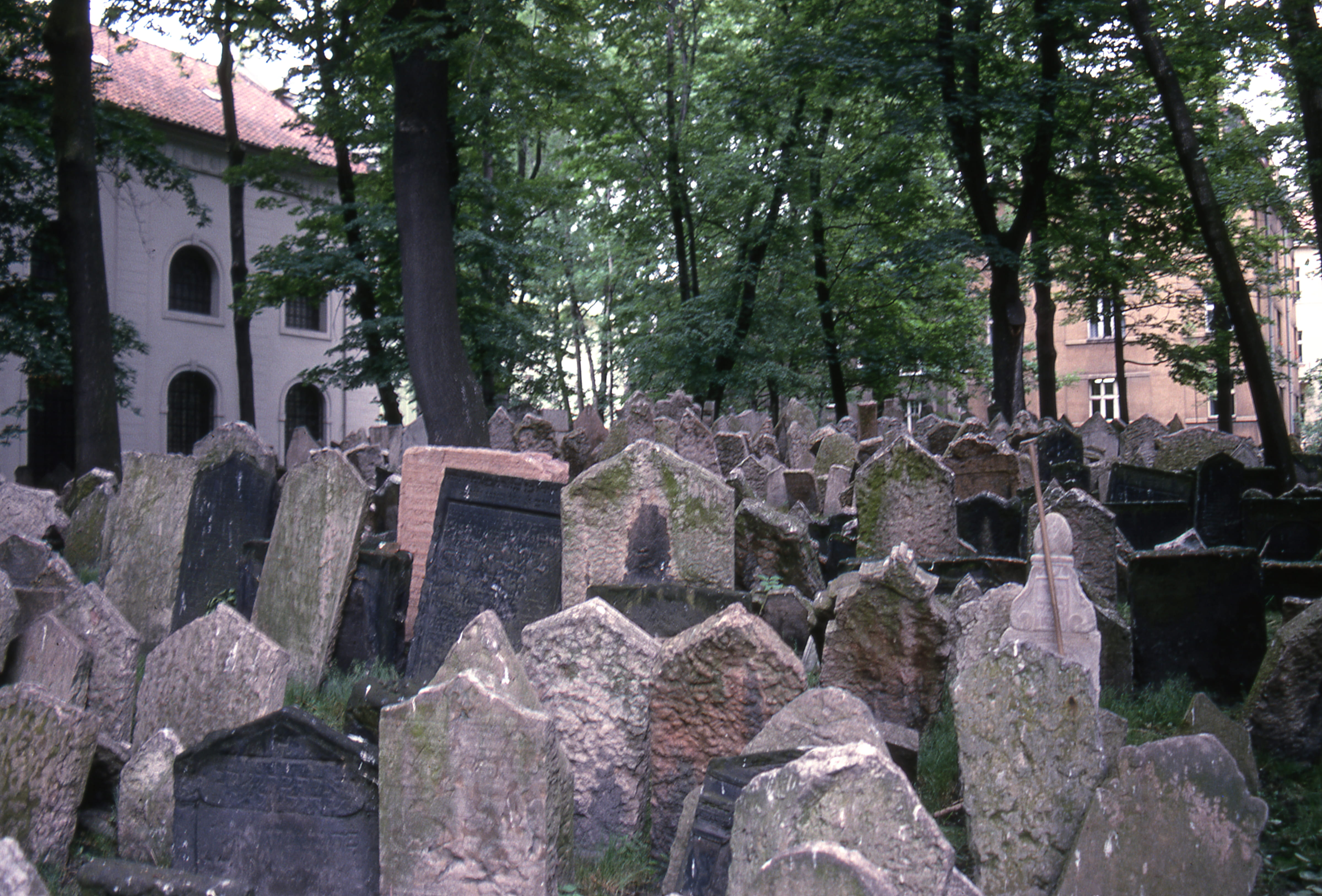 religion, tombstone, architecture, plant, jewish, czechia, the past, prague, no people, cemetery, stone, spirituality, tree, stone material, belief, solid, HD Wallpaper