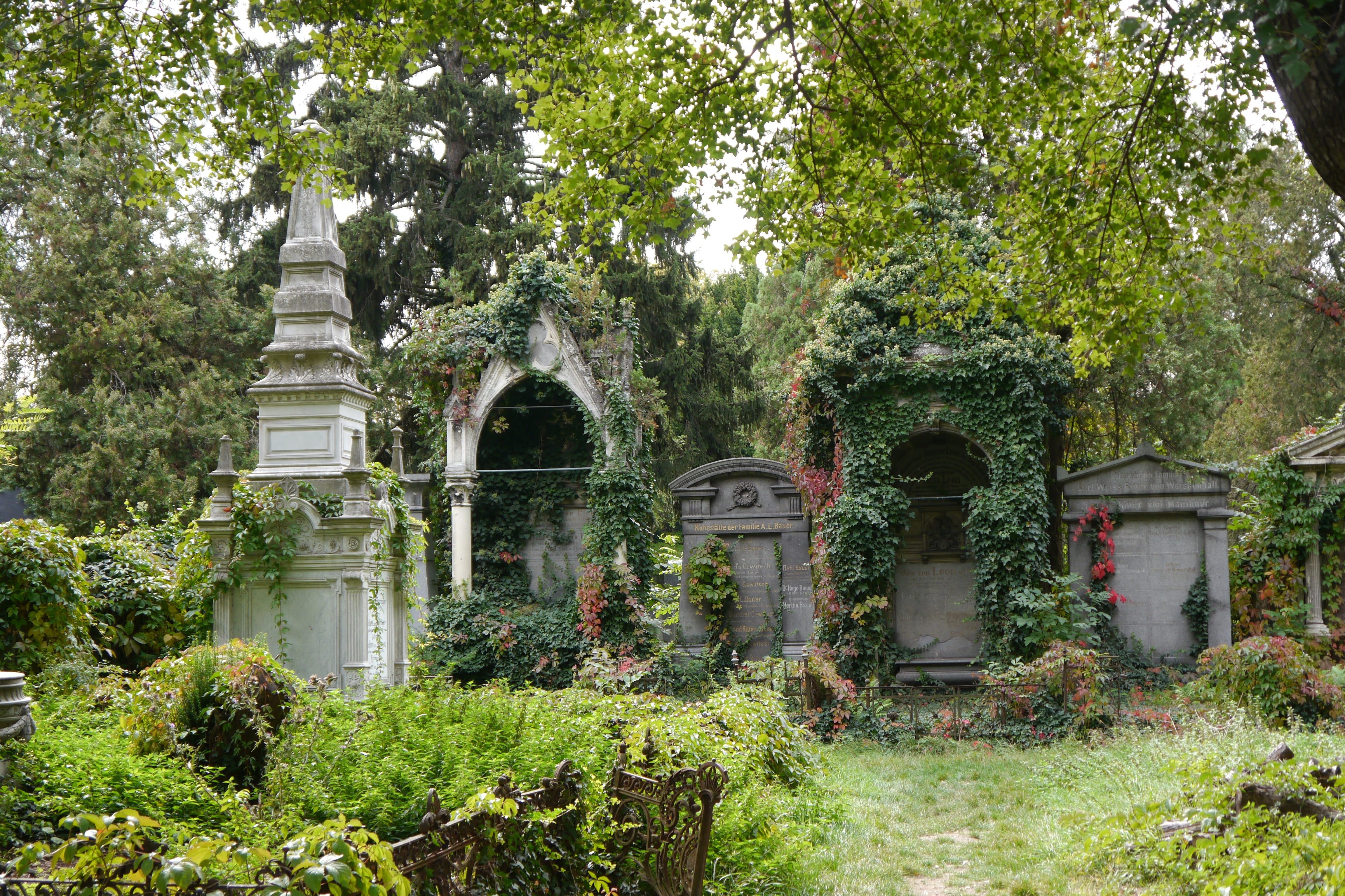 spirituality, the past, old ruin, building, architecture, history, 4K, old, plant, green color, day, Old Jewish Cemetery, tree, Graves, nature, building exterior, HD Wallpaper