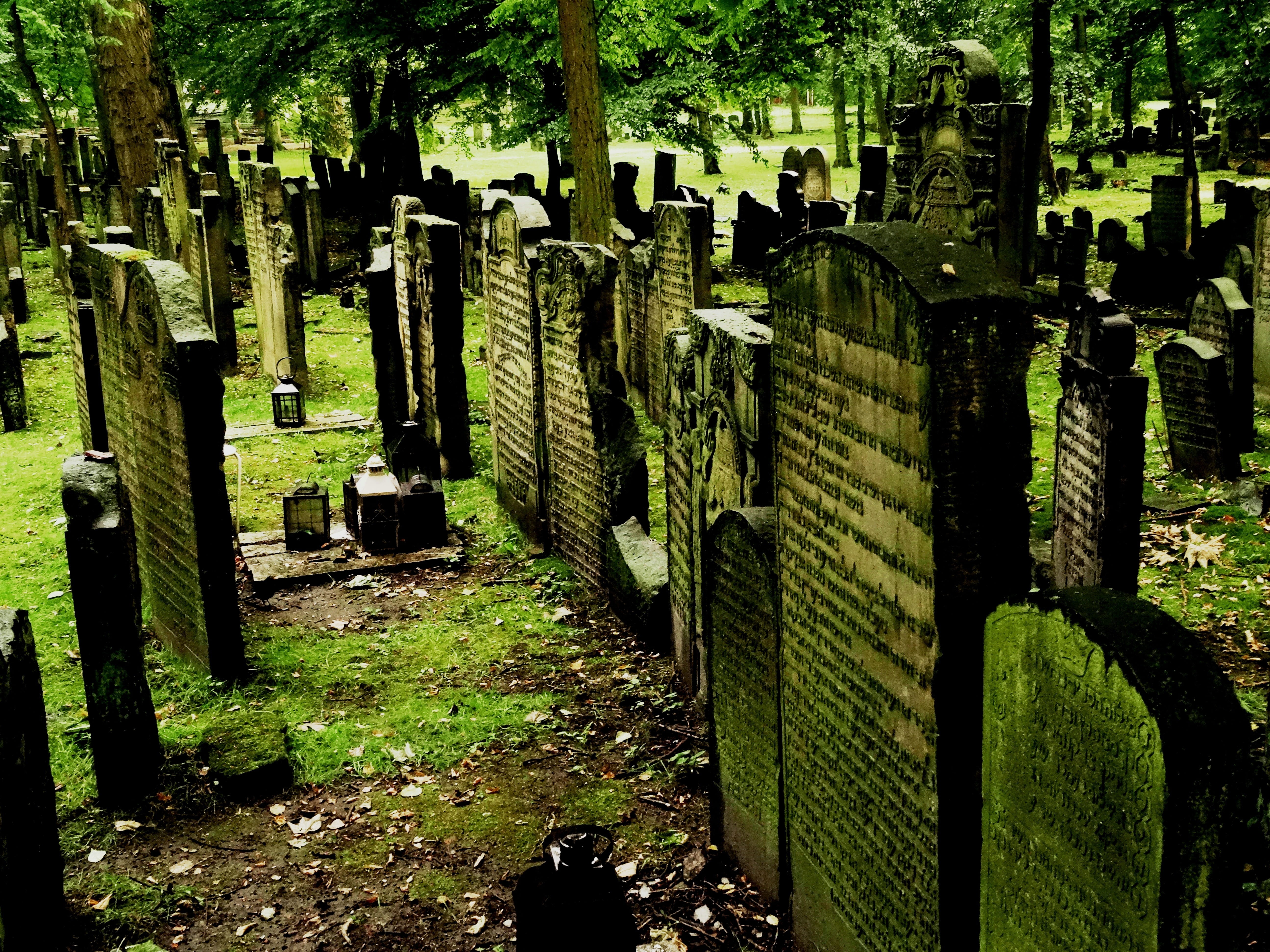 memorial, solid, 5K, spirituality, day, tree, grave, commemorate, cemetery, hamburg, history, plant, architecture, nature, tombstone, the past, no people, HD Wallpaper