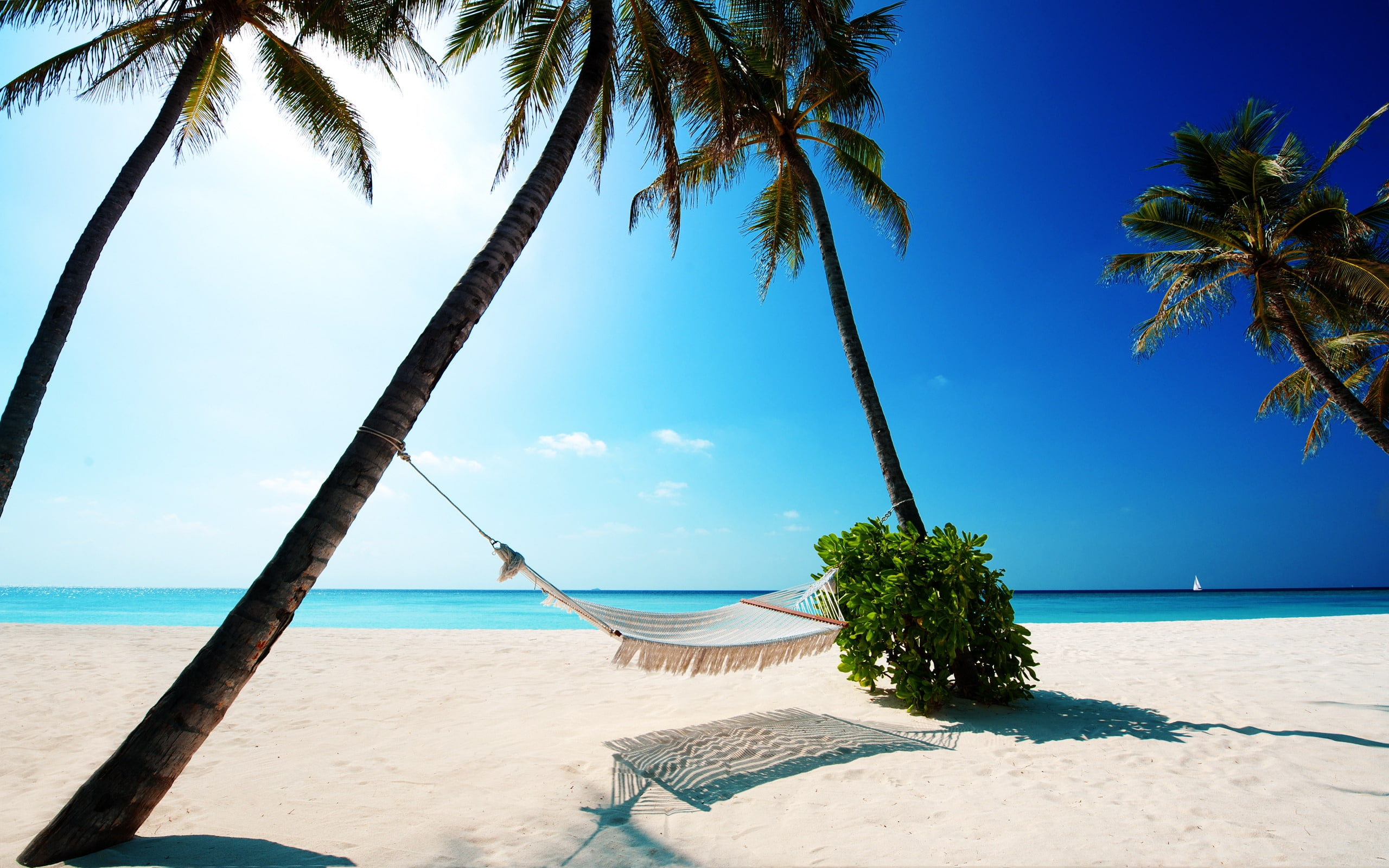 shine, sea, hammock, sky, palms, 2K, blue, sunny, day, sun, sand, HD Wallpaper