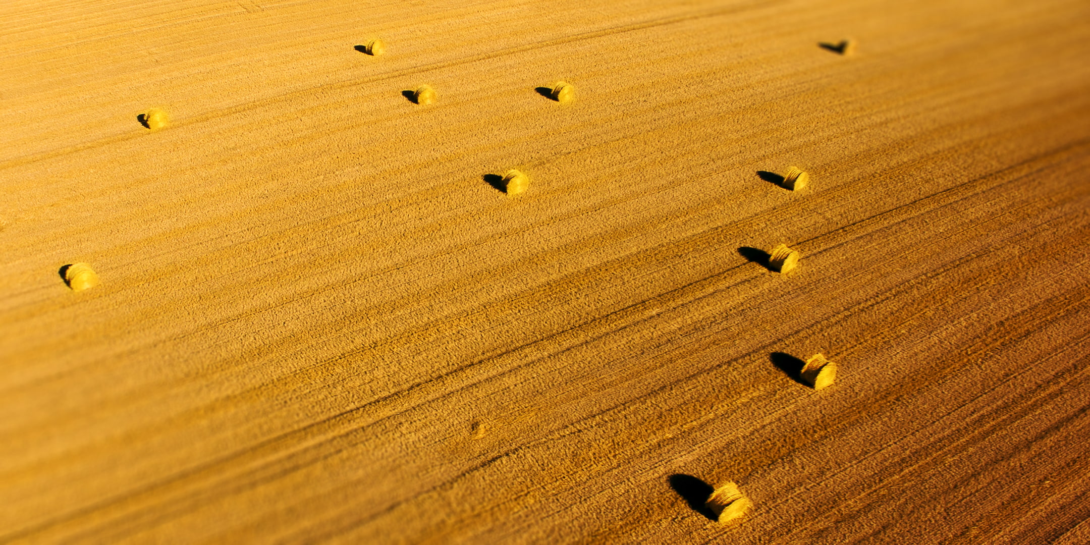 nature, landscape, field, pattern, full frame, day, harvesting, crop, backgrounds, land, sunlight, environment, outdoors, no people, aerial view, farm, HD Wallpaper