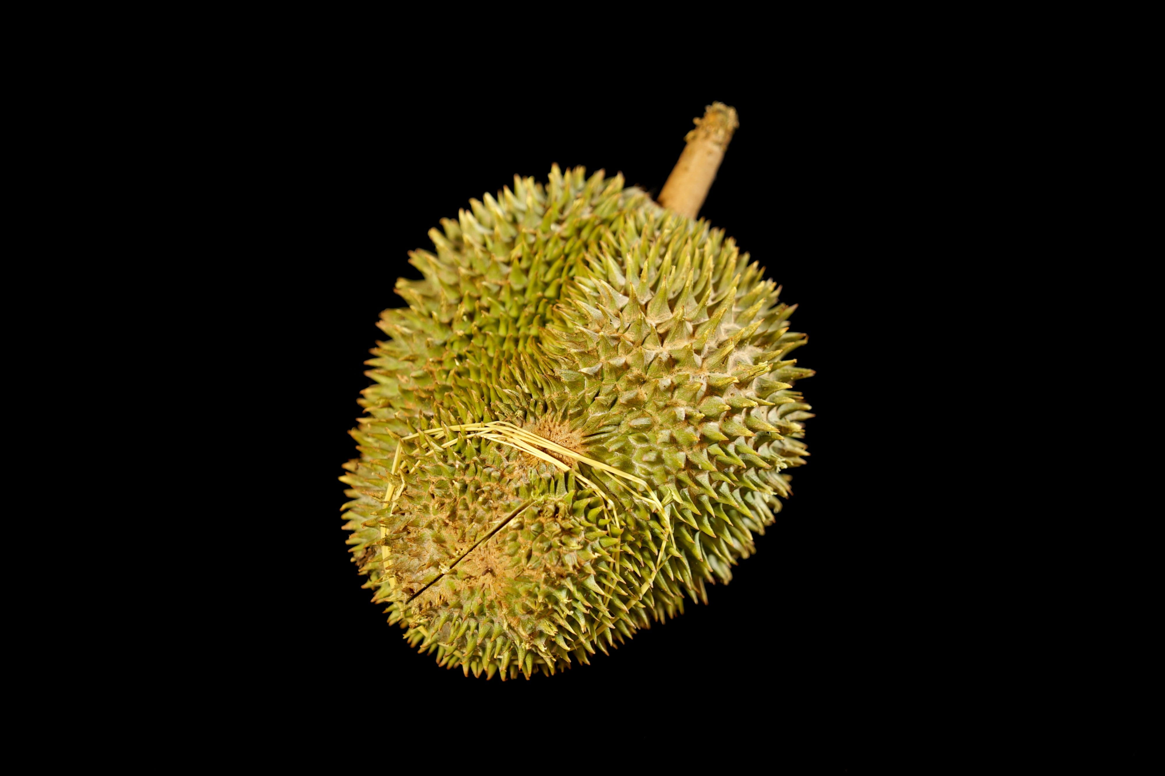 nature, flower, food and drink, 4K, studio shot, spiky, plant, freshness, copy space, king of fruits, thorny fruit, malaysia, green color, indoors, delicious, HD Wallpaper