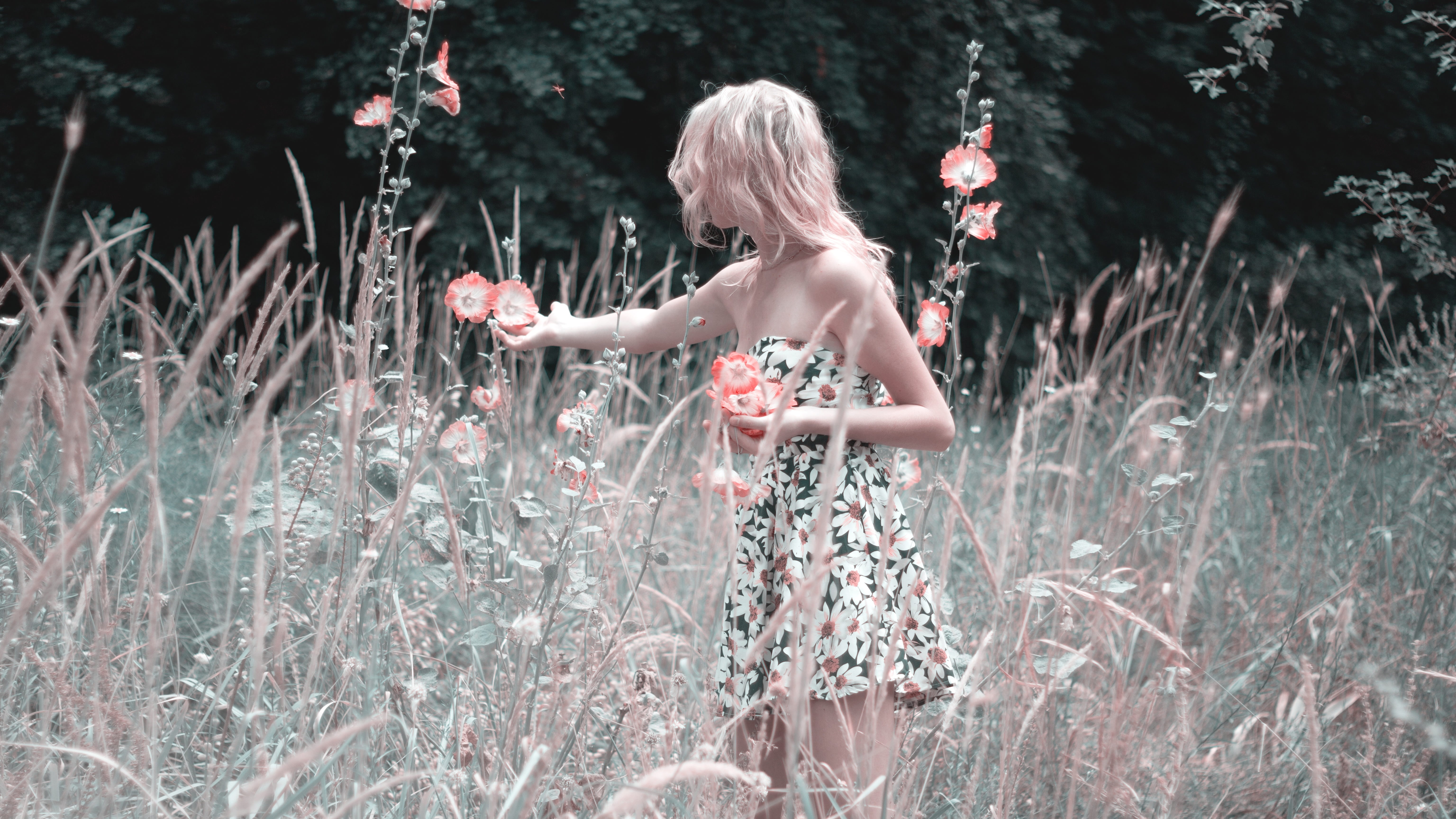 5K, model, beautiful, female, love, land, girl collects flowers, beauty, day, lifestyles, white, summer, field, one person, bloom, girl, child, cosmetics, HD Wallpaper